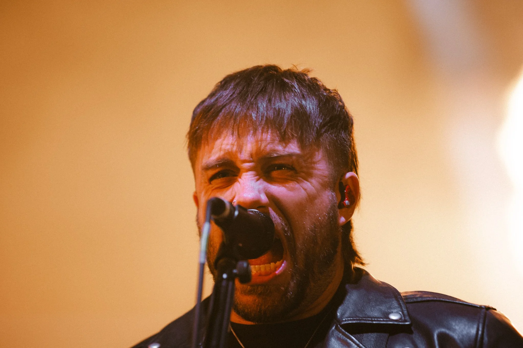 bfmv-16.jpg