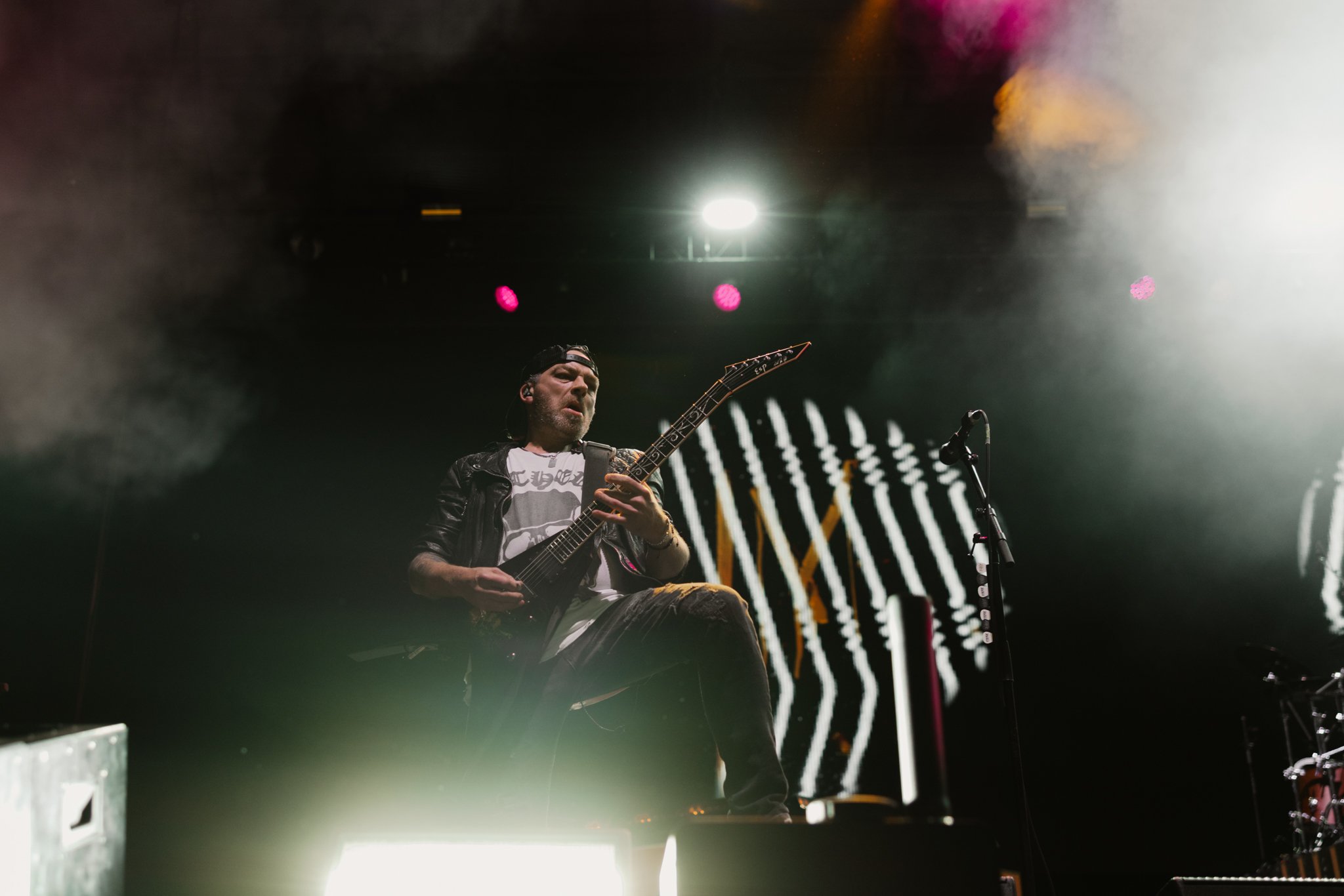 bfmv-20.jpg