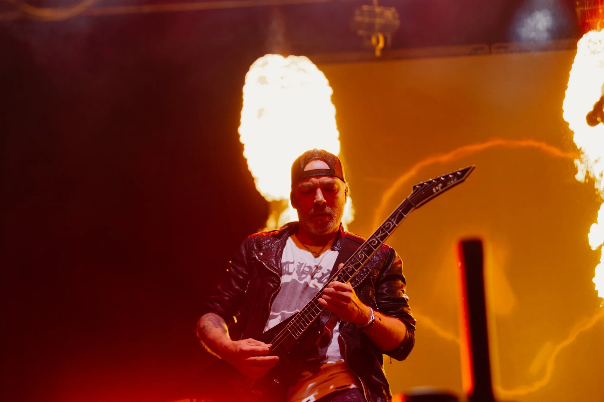 bfmv-21.jpg