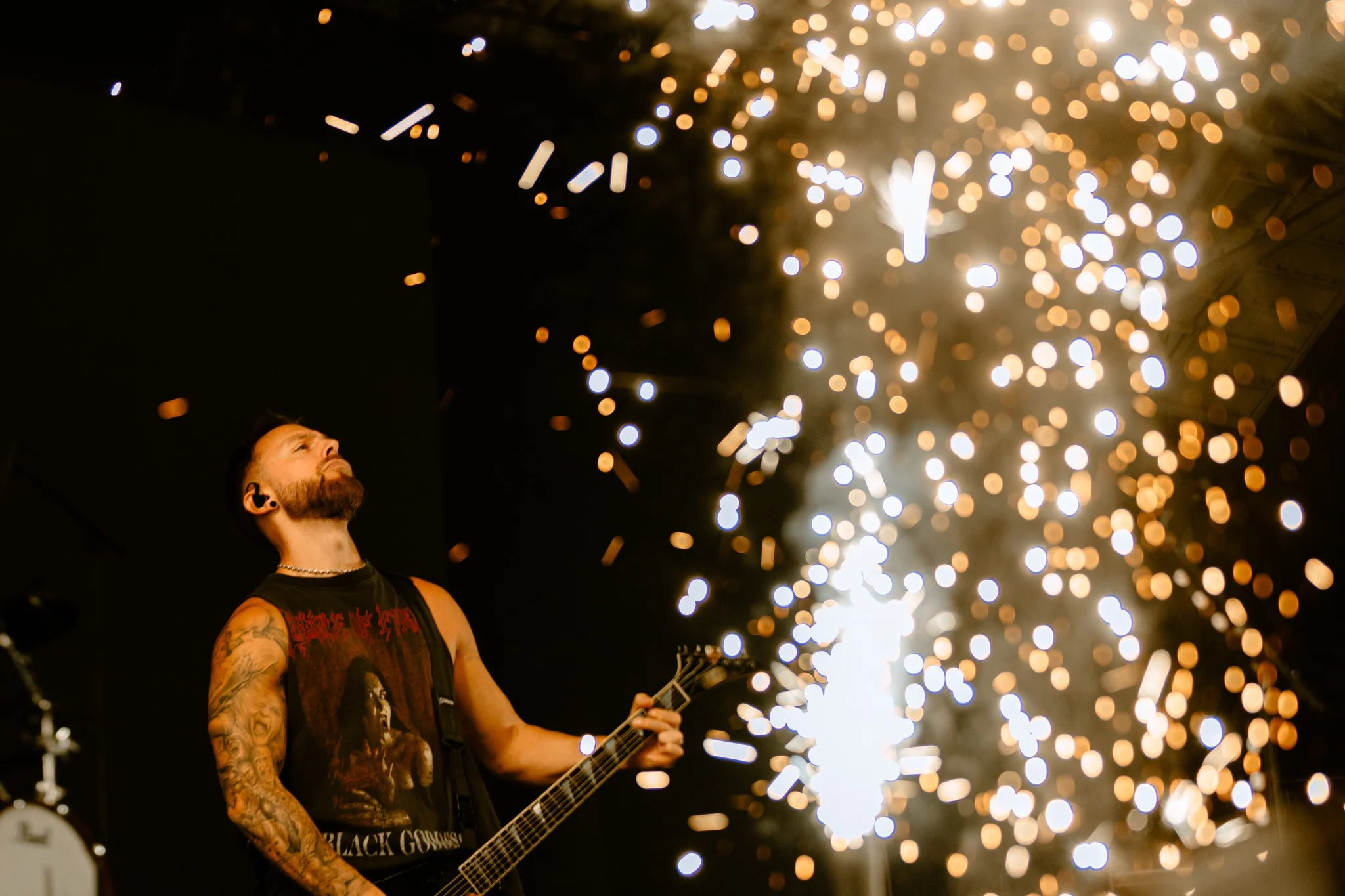 bfmv-23.jpg