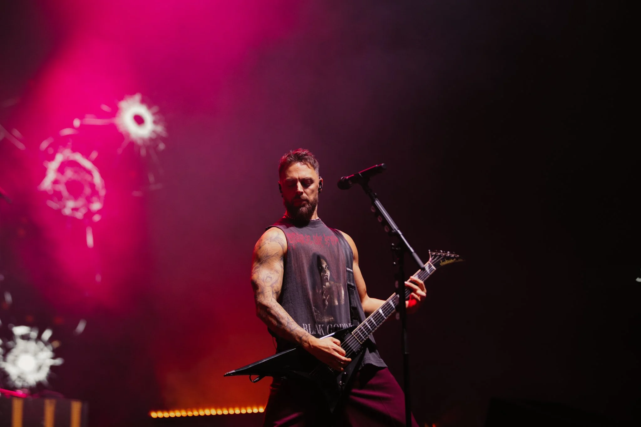 bfmv-24.jpg