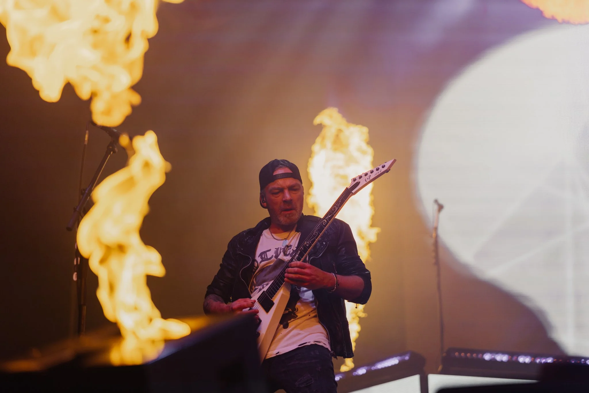 bfmv-27.jpg