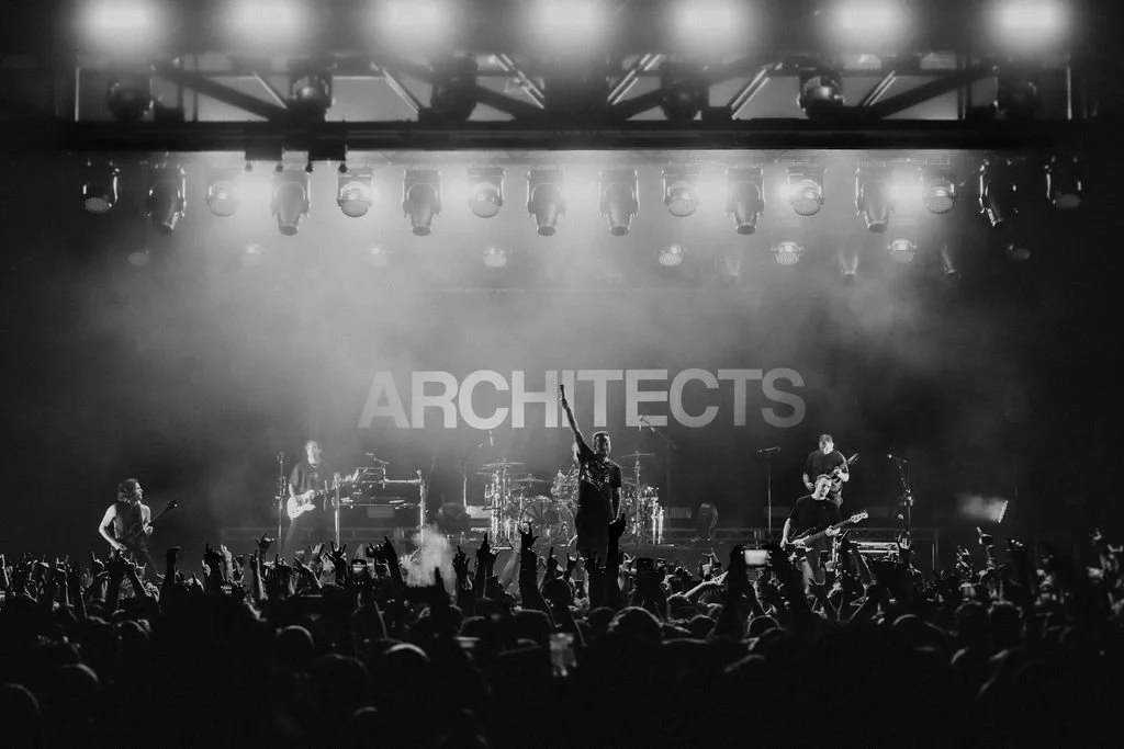 Architects-27.jpg