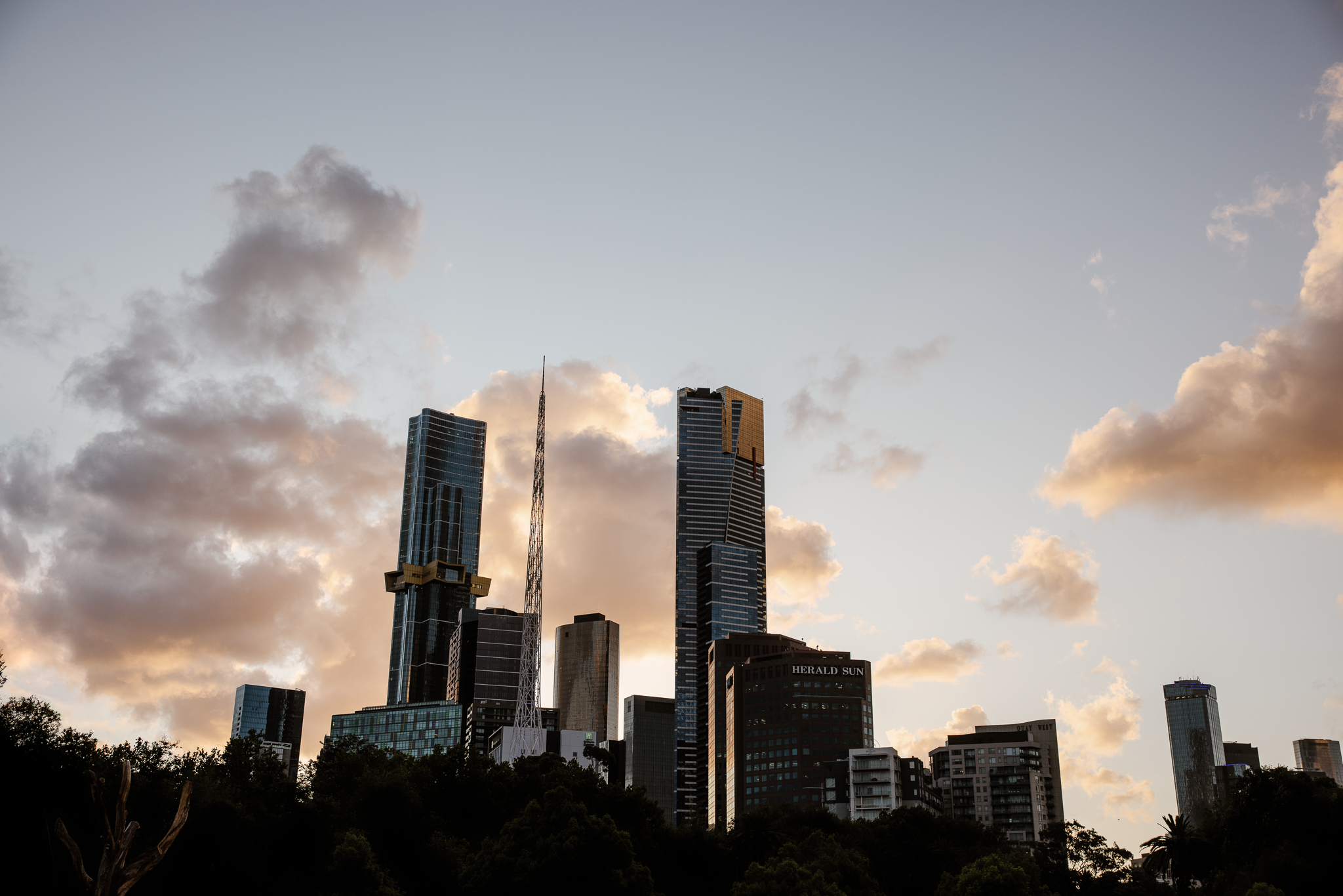 Odin Imaging 2026020108 Web res.png