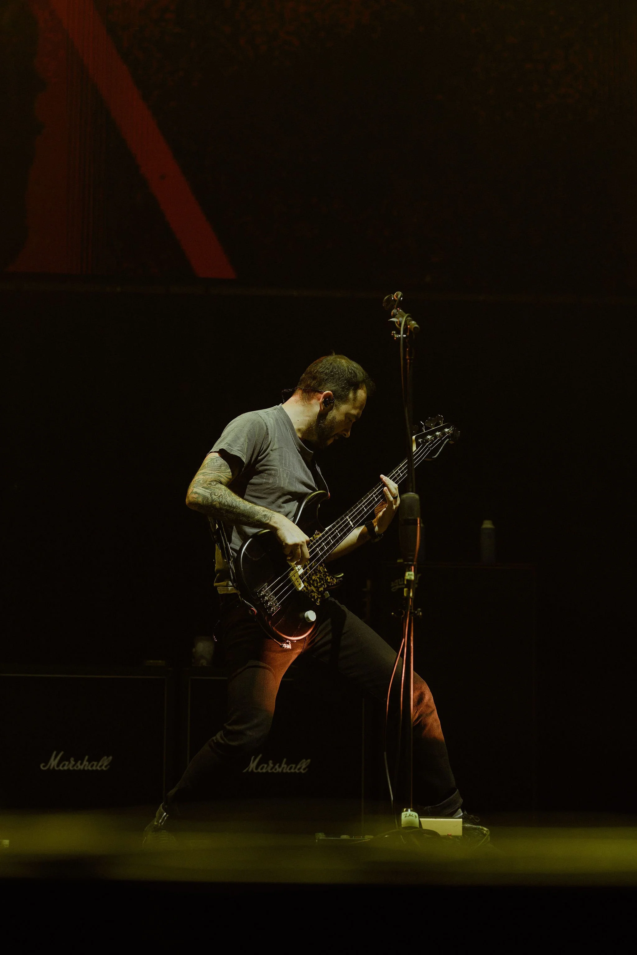Coheed-2.jpg