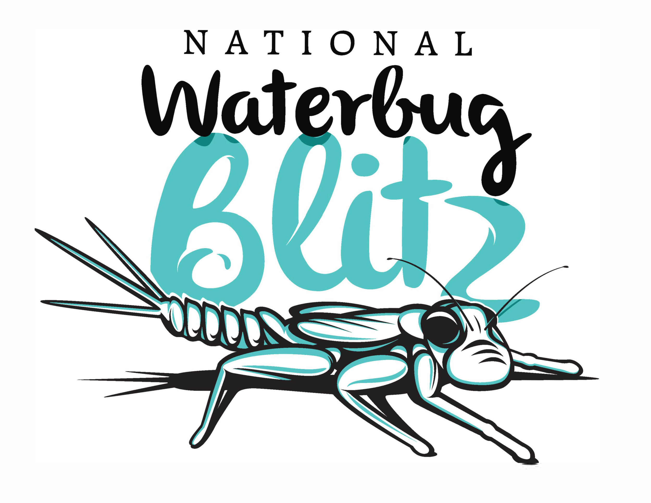 Waterbug Blitz logo