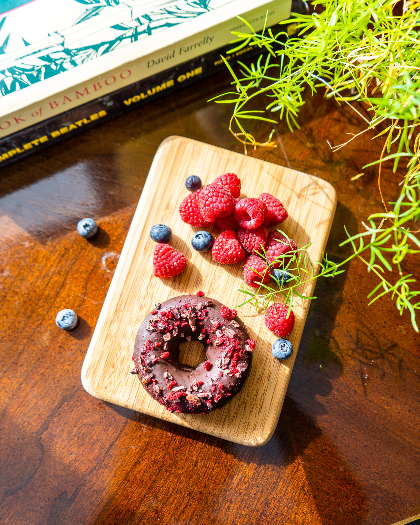 Paleo Vegan Chocolate Donut infused w Chaga.jpg