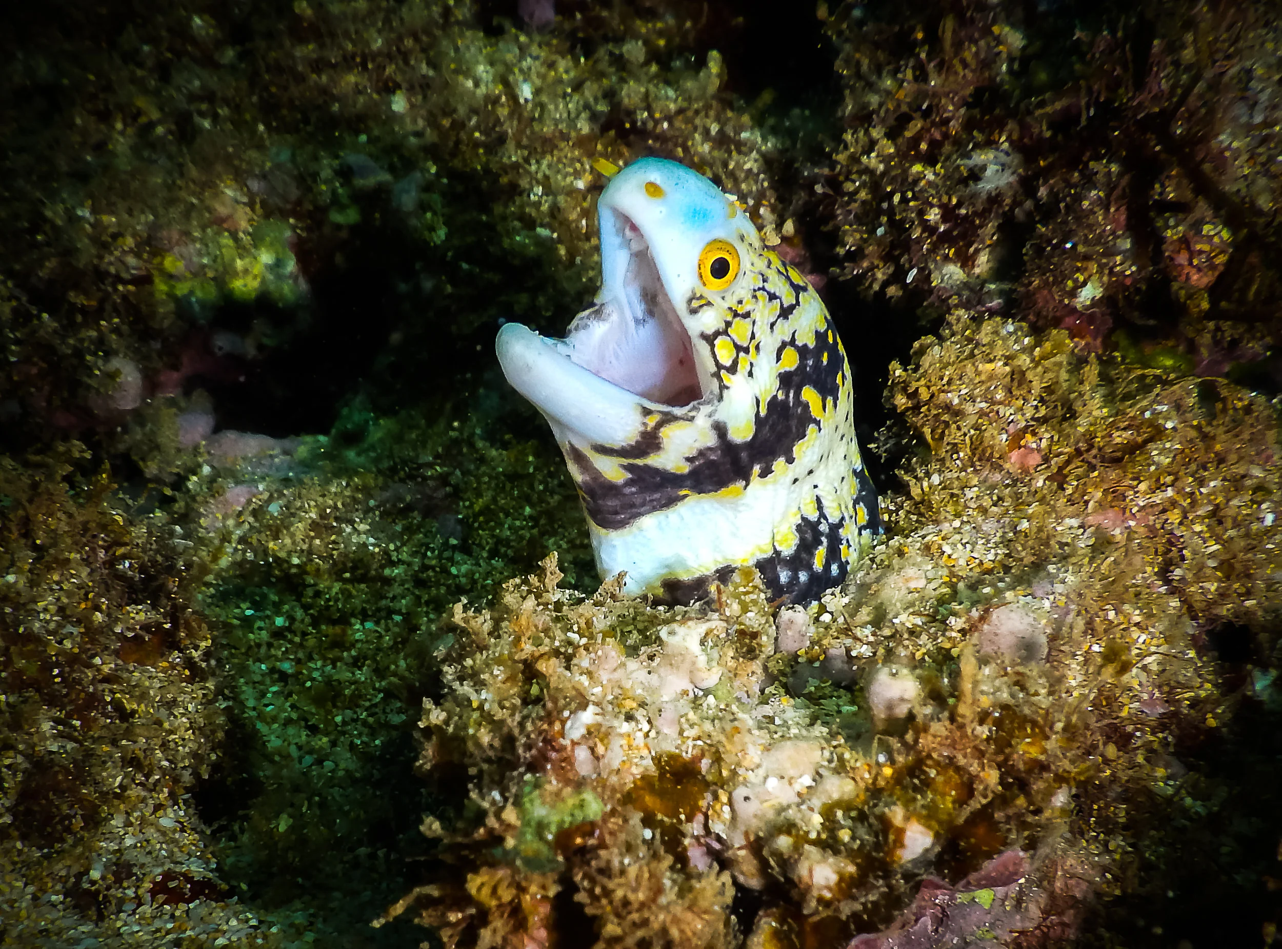 DSCN1267.jpg