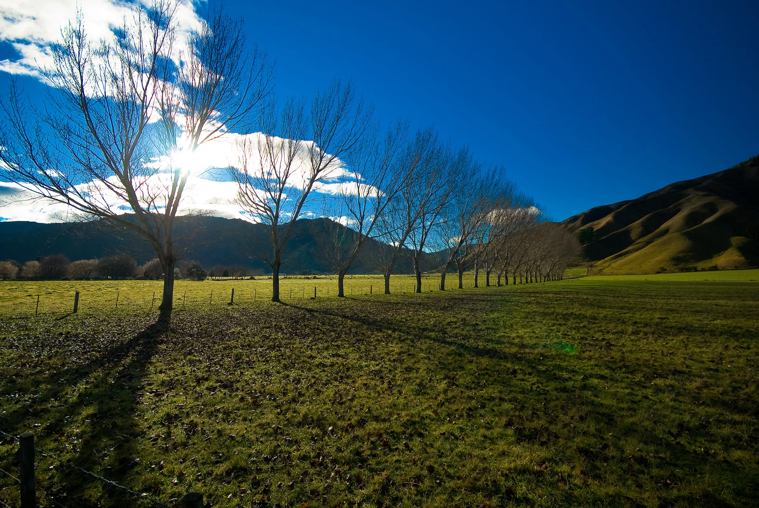_DWB2636-Edit.jpg