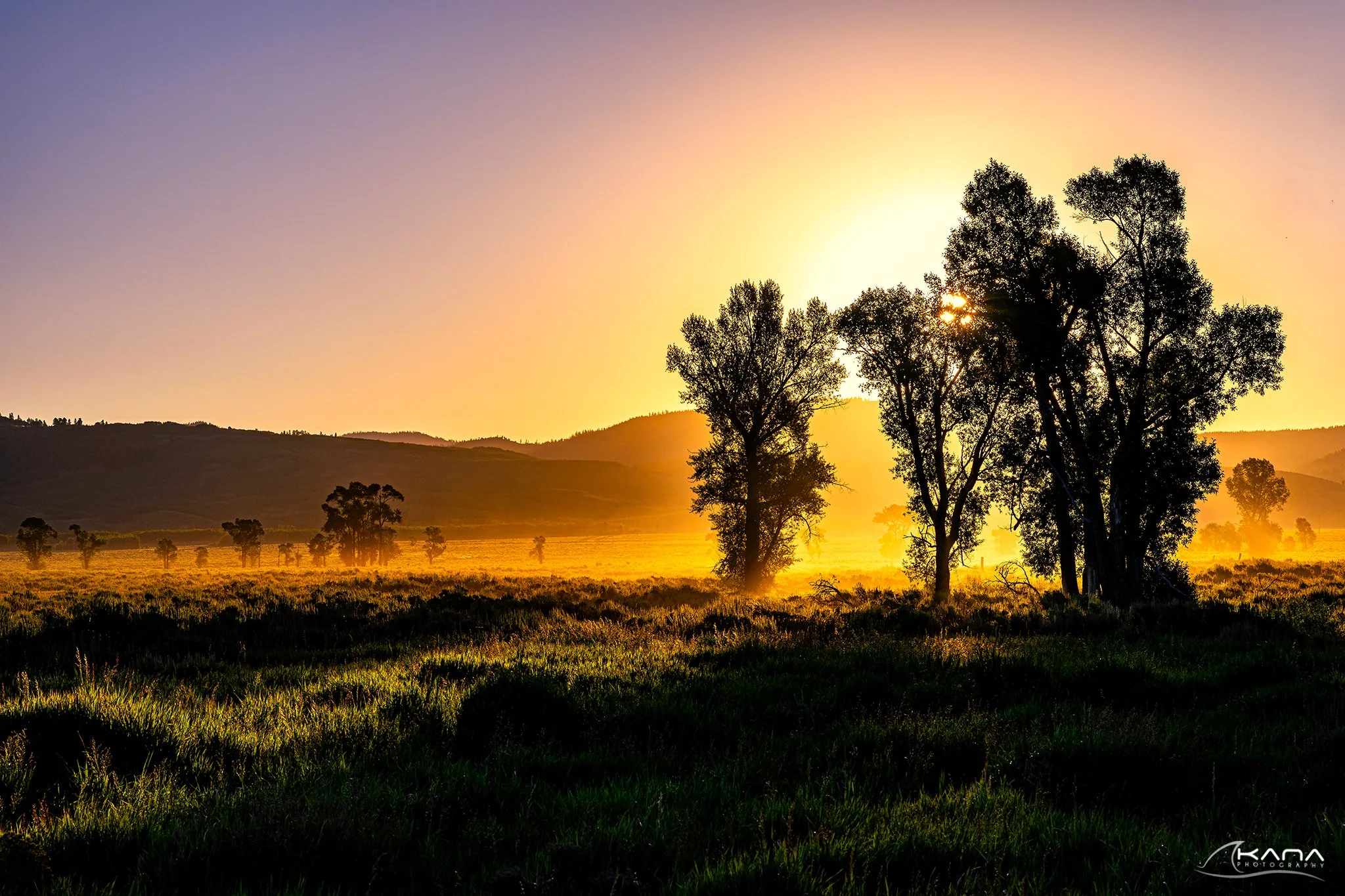 DSC_2093-Edit.jpg