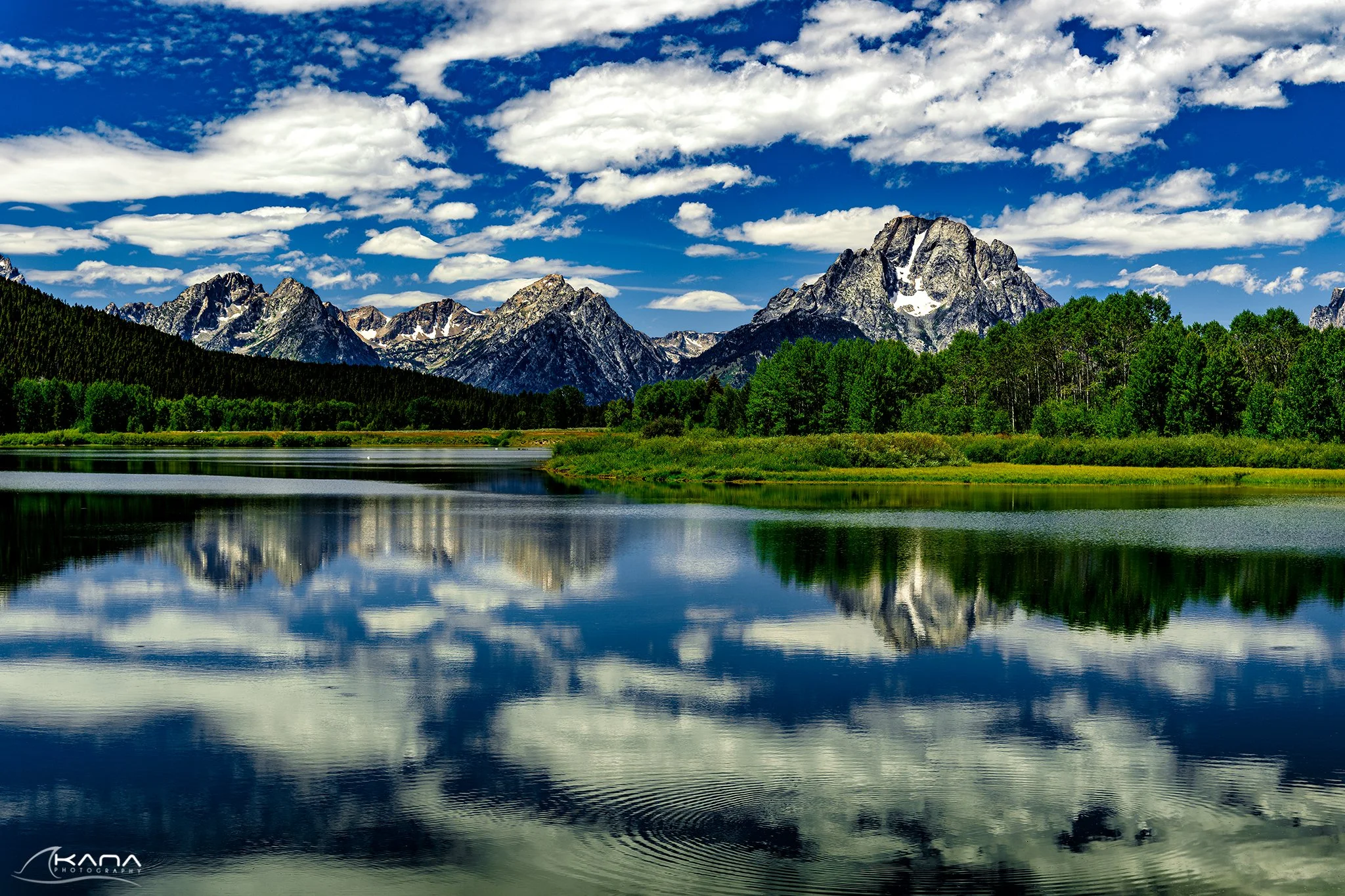 DSC_2469-Edit.jpg