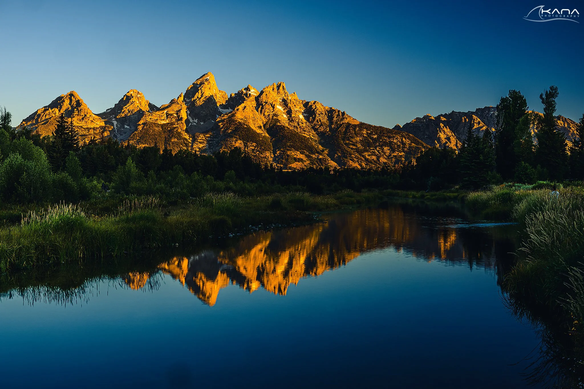 DSC_2025-Edit.jpg