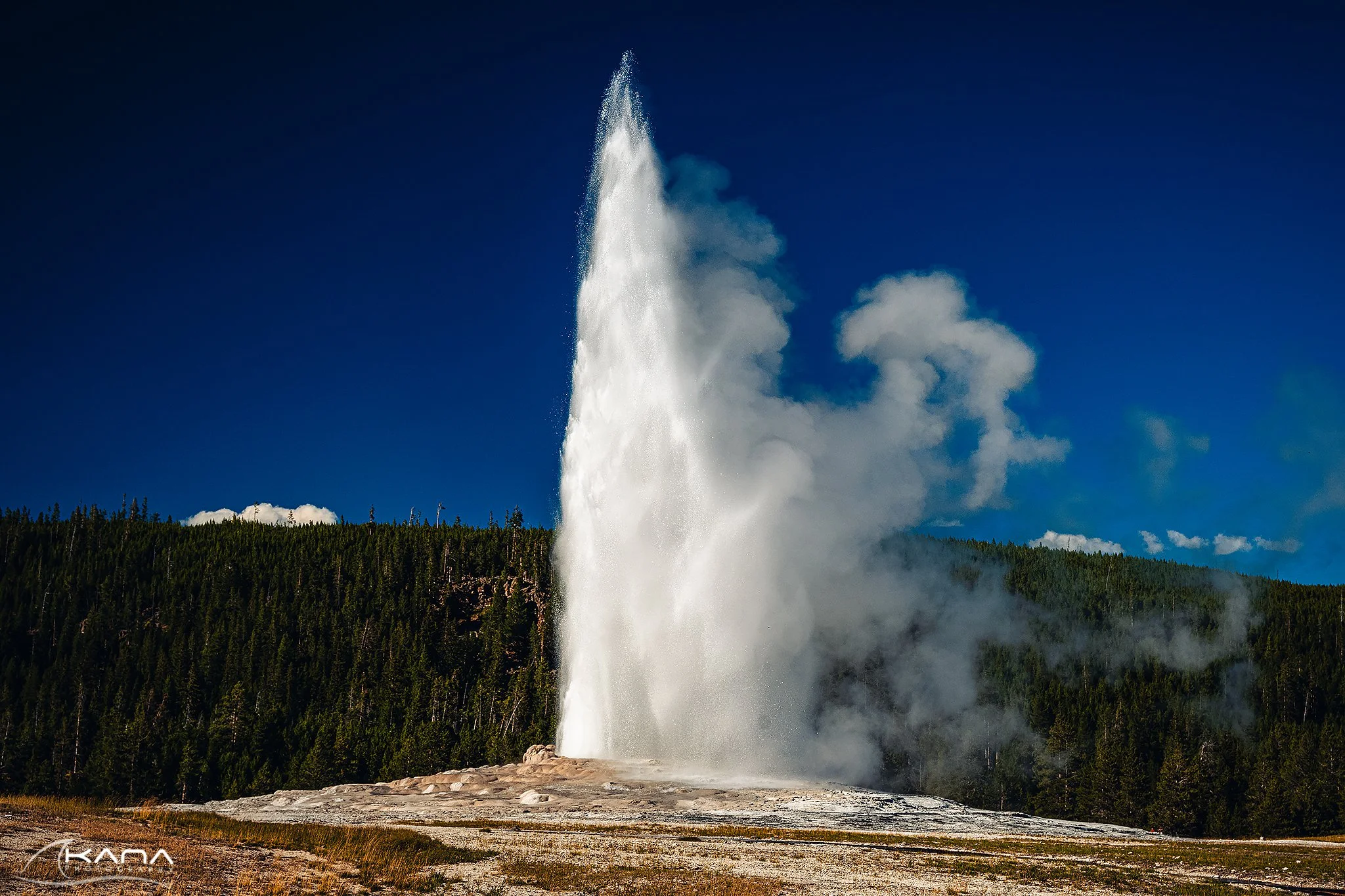 DSC_9792-Edit.jpg