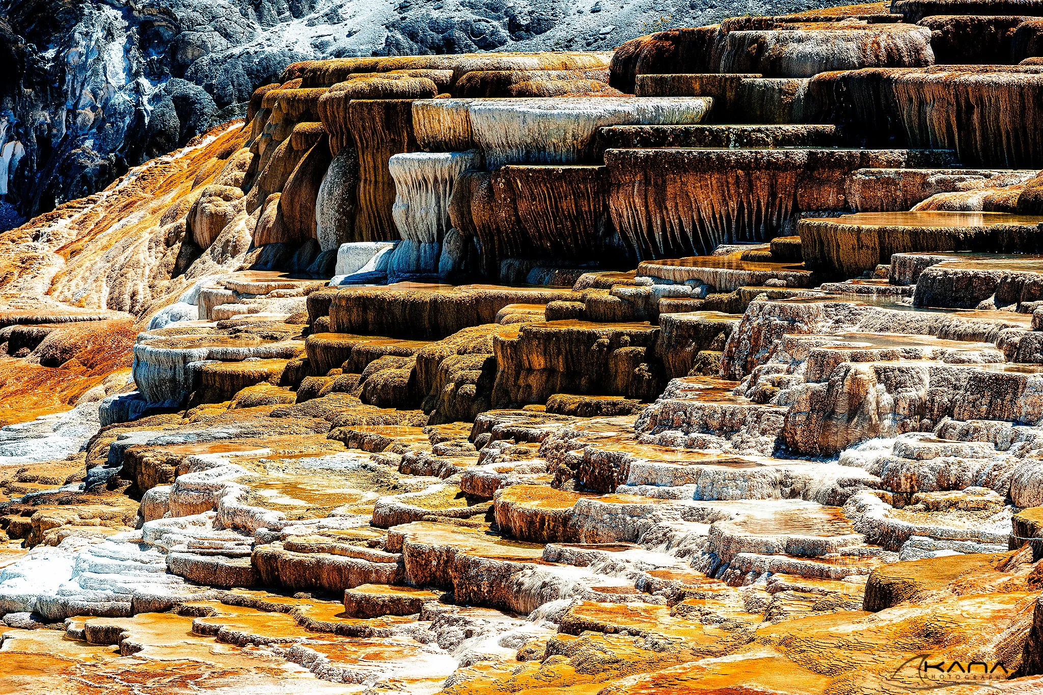 DSC_9470-Edit.jpg