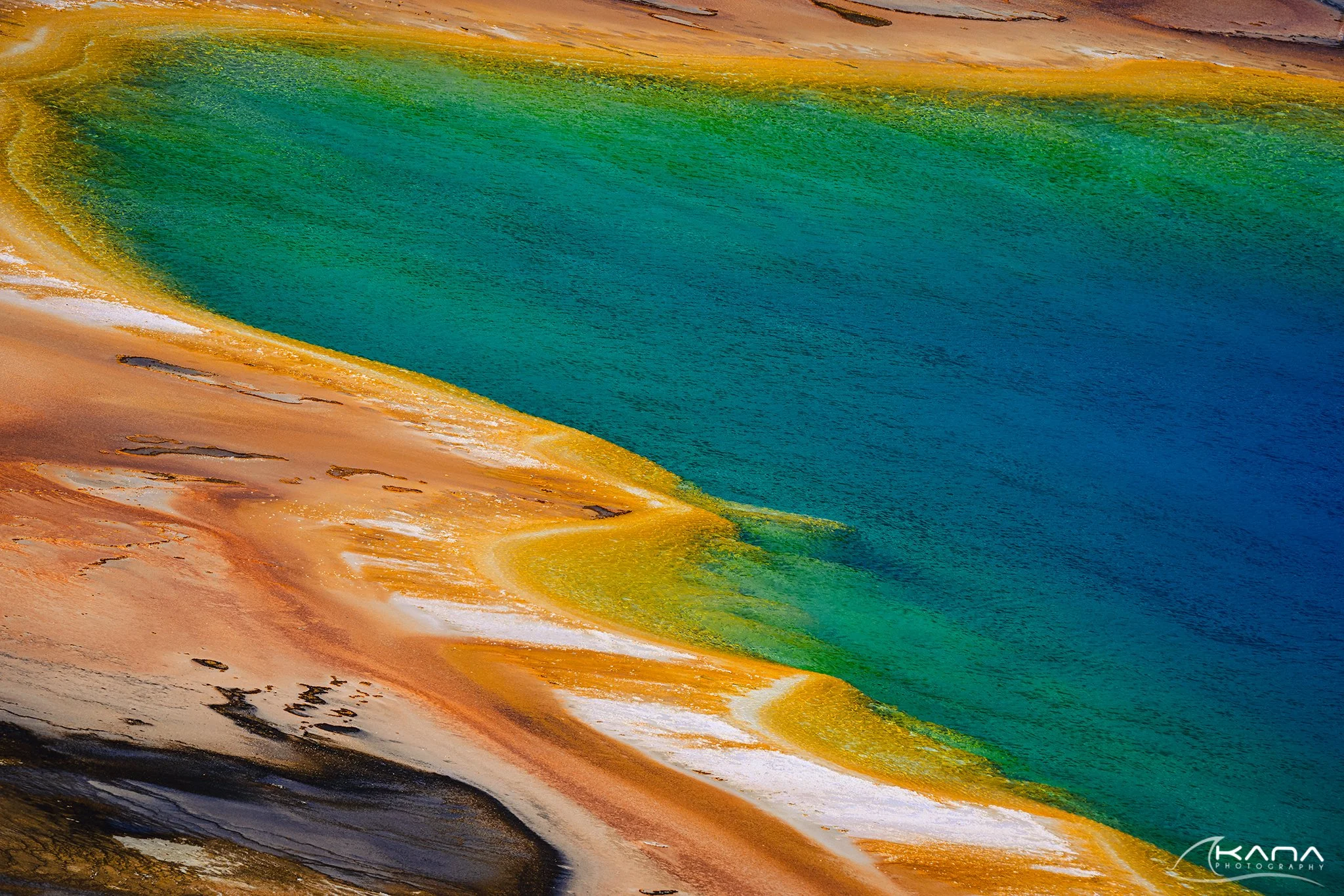 DSC_0372-Edit.jpg