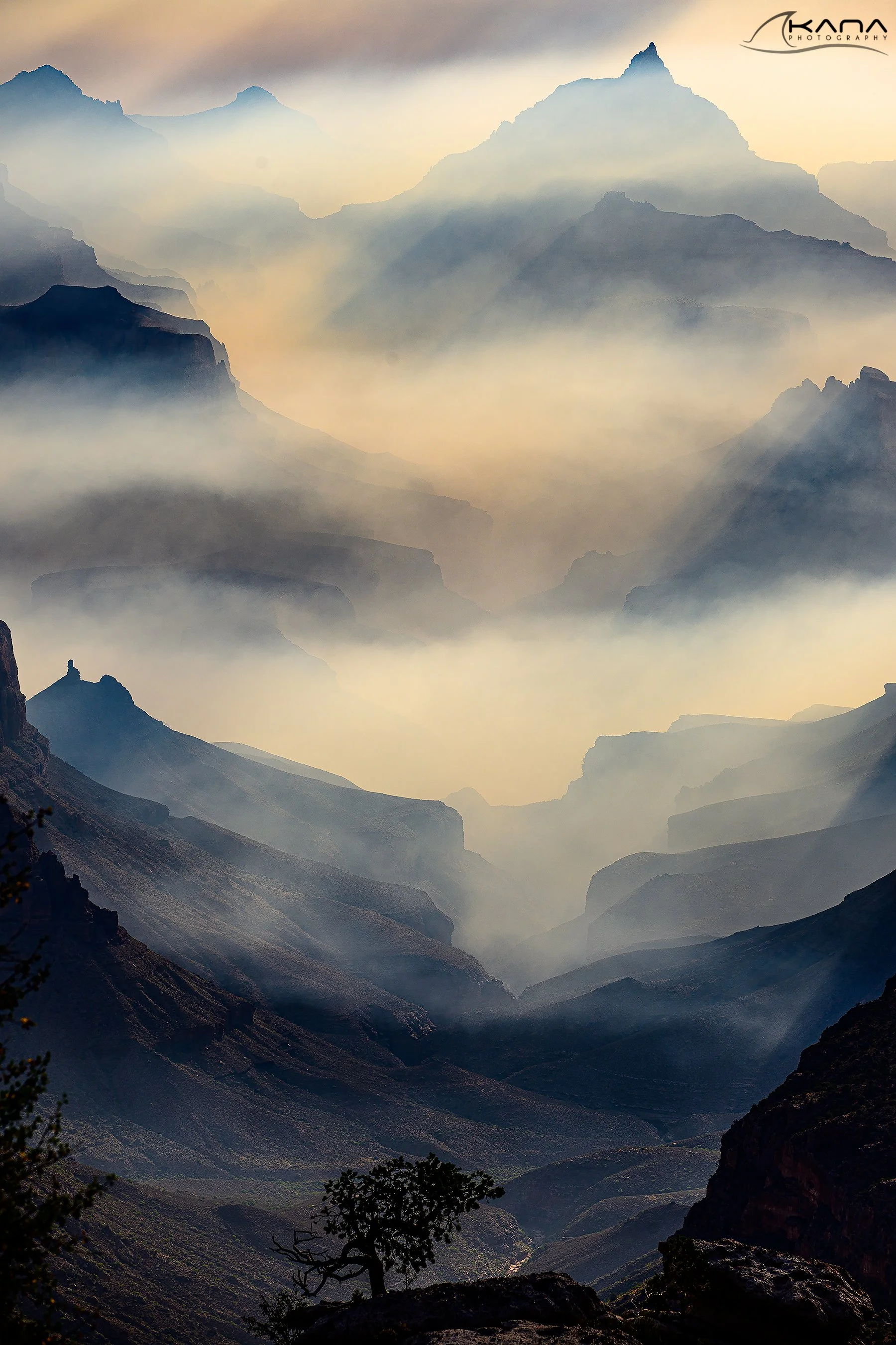 DSC_4632-Edit.jpg