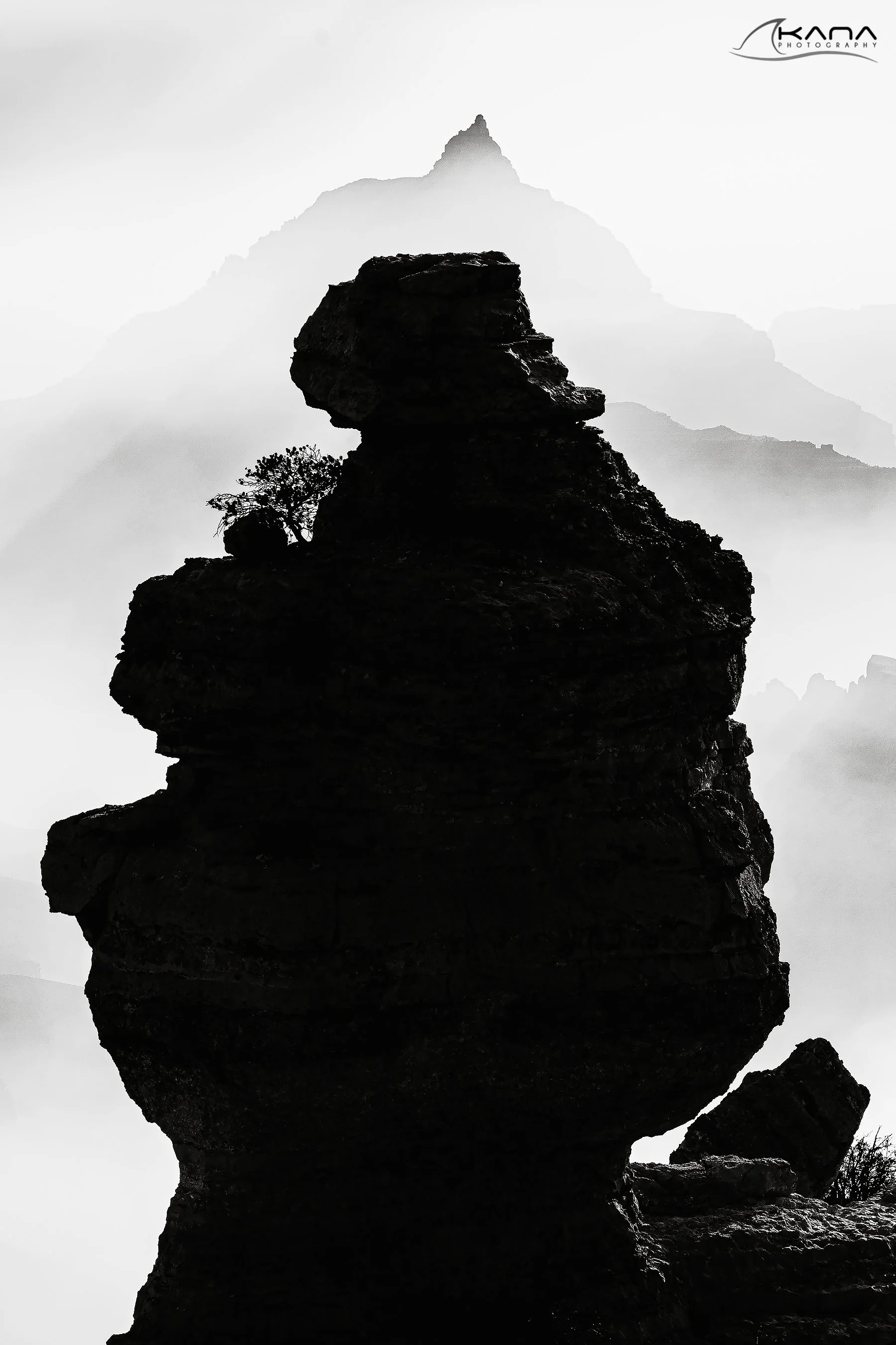 DSC_4646-Edit.jpg