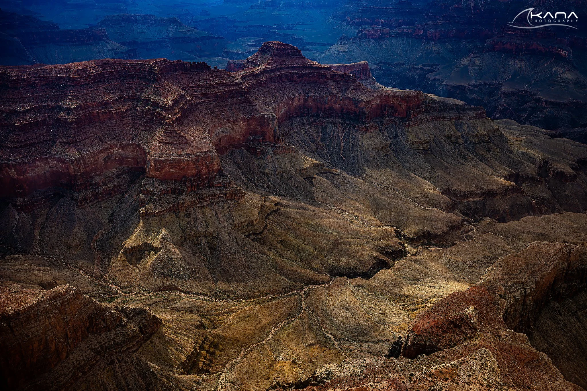 DSC_5368-Edit.jpg