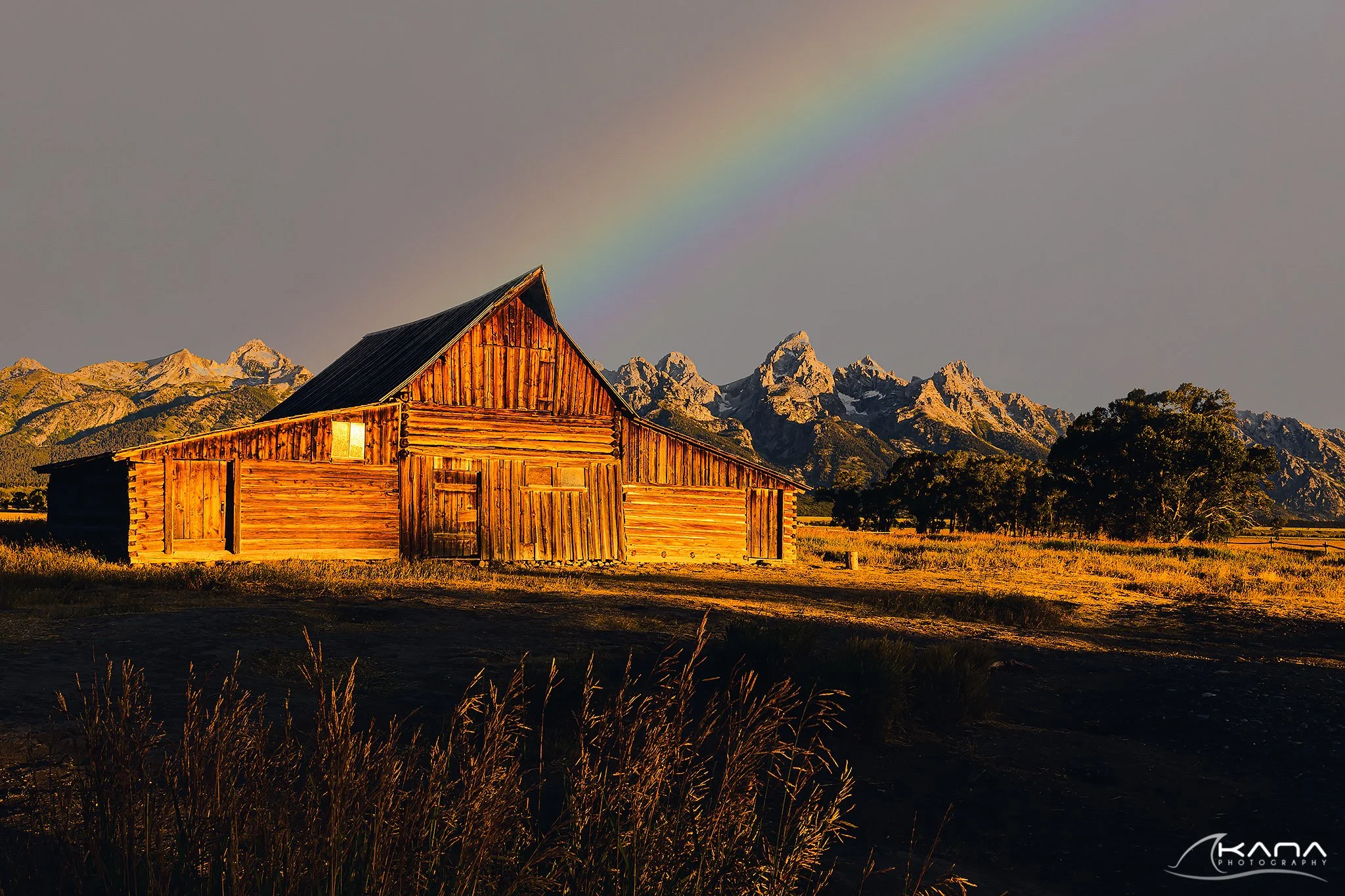 DSC_2040-Edit.jpg