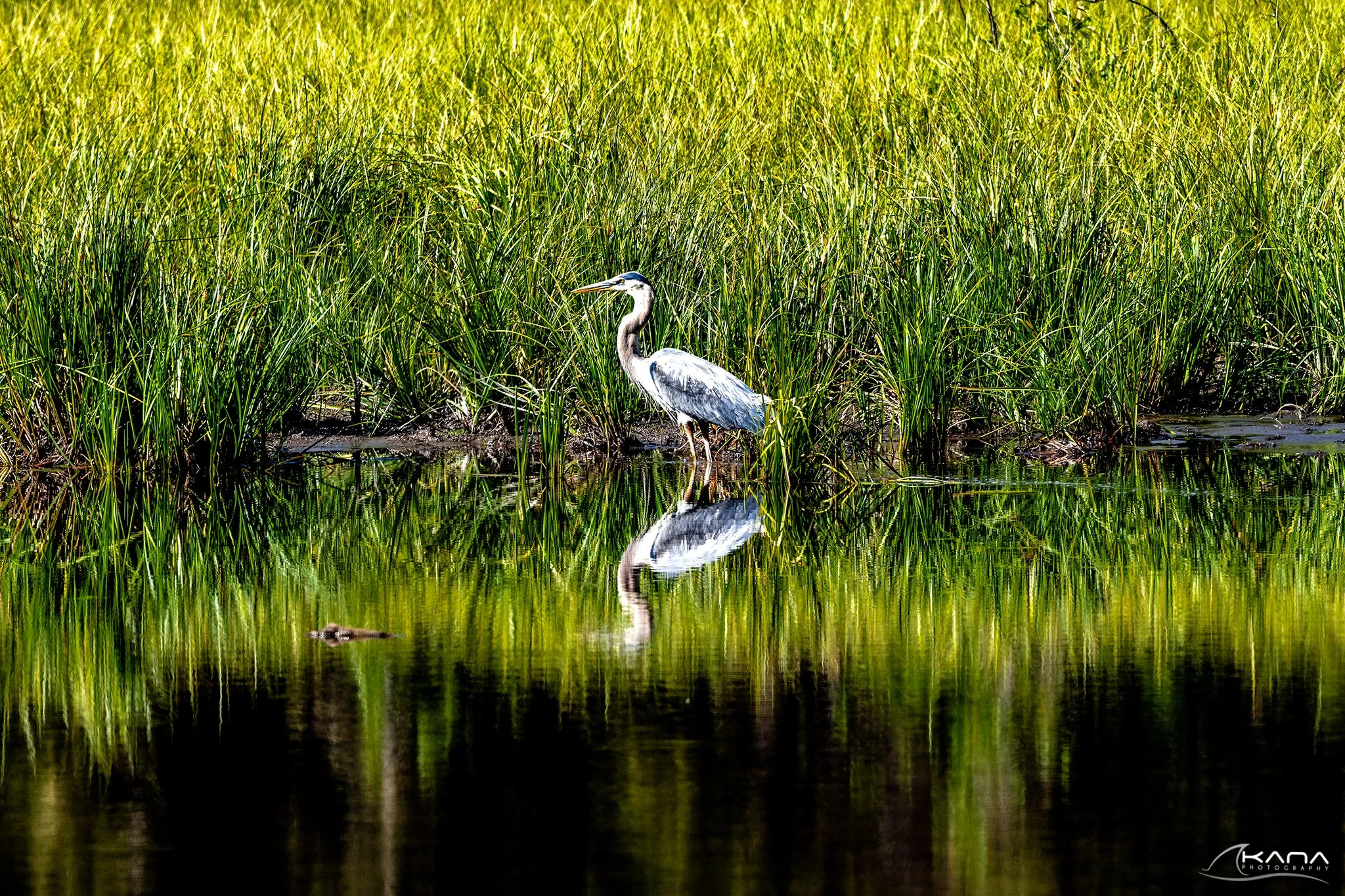 DSC_2402-Edit.jpg