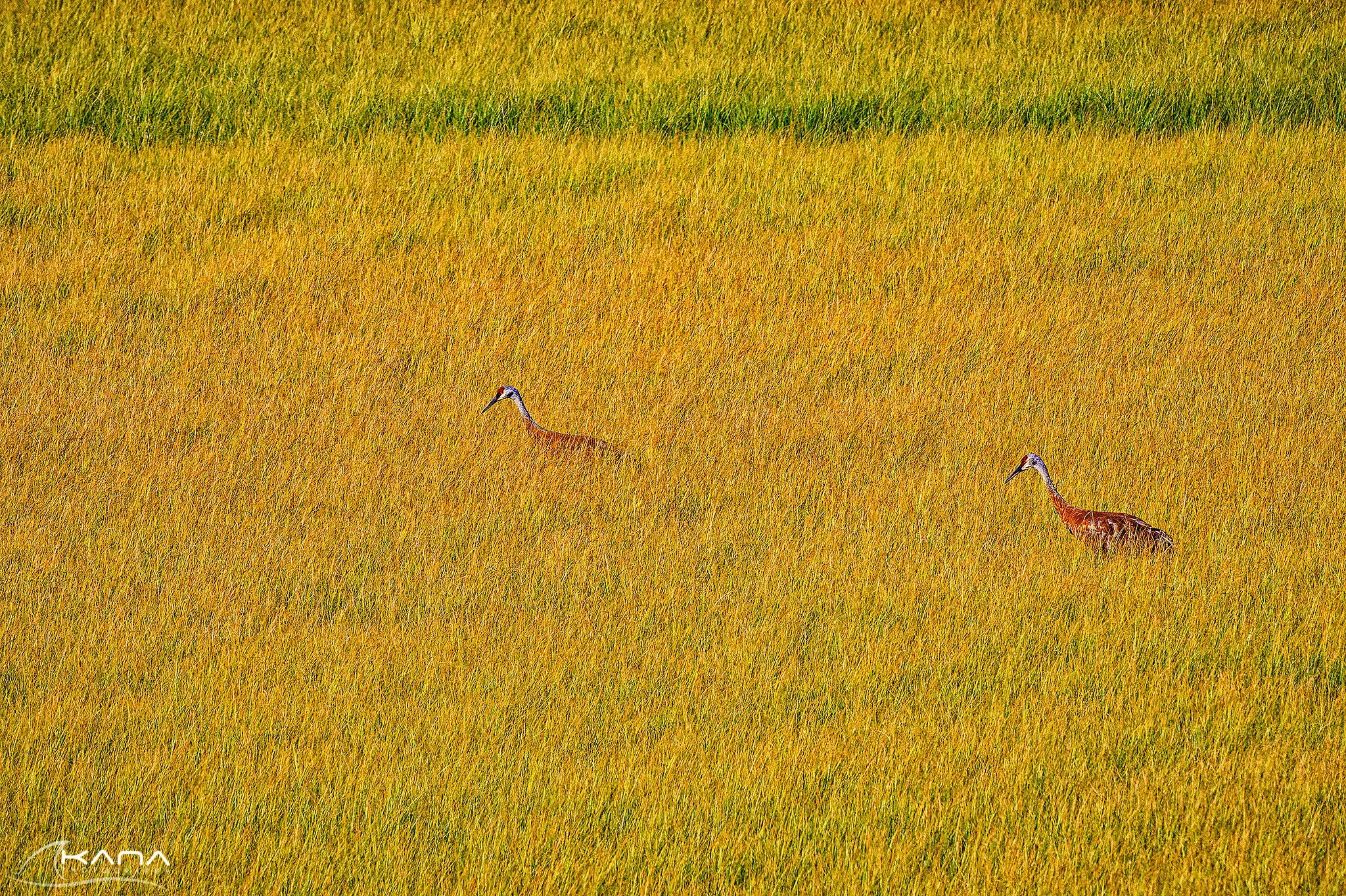 DSC_0856-Edit.jpg