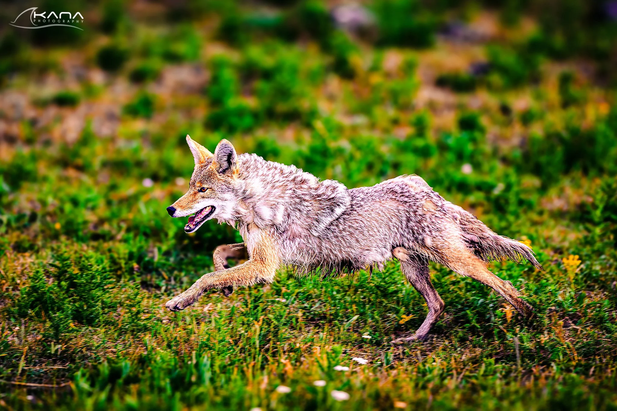 DSC_7449-Edit.jpg