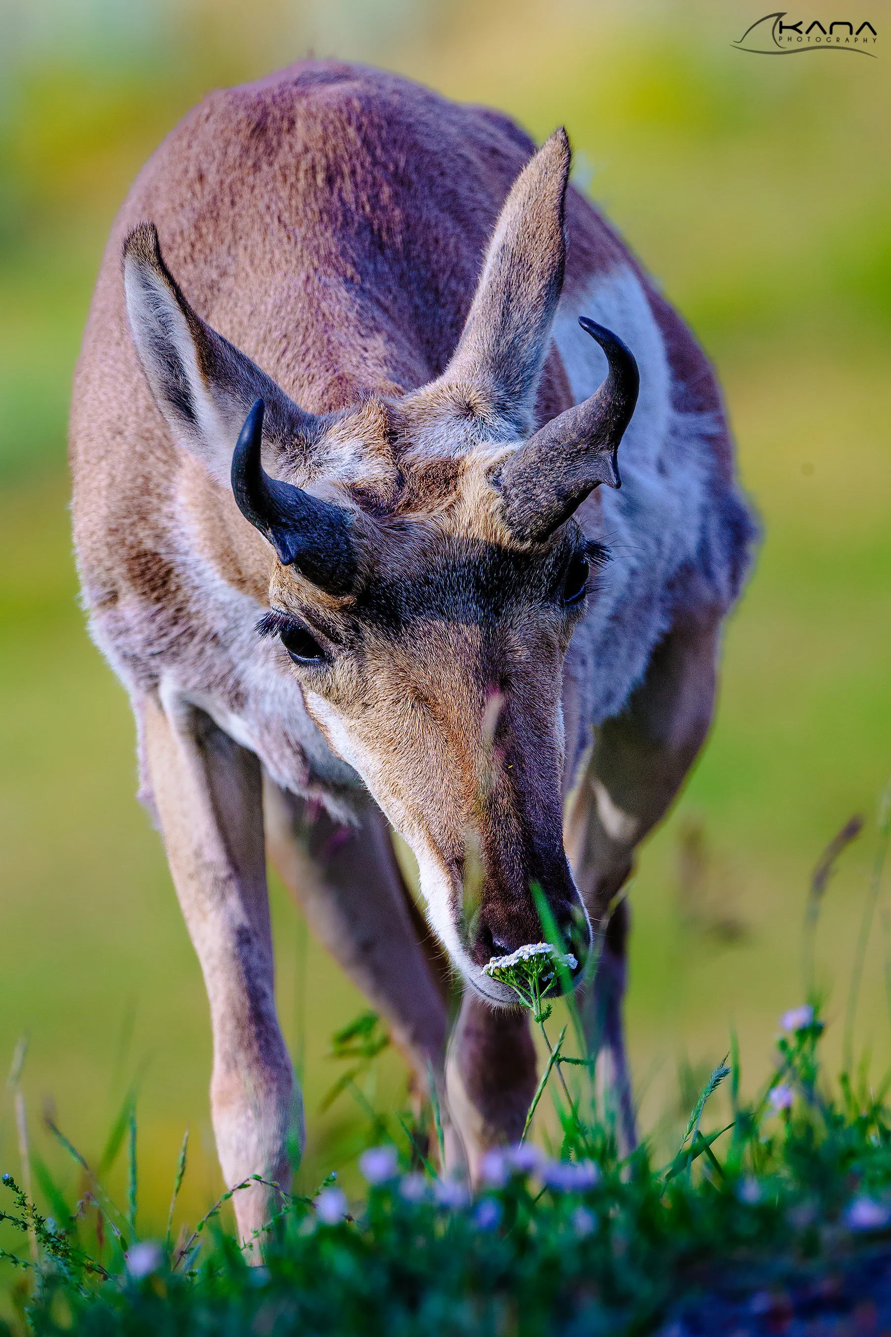 DSC_8047-Edit.jpg