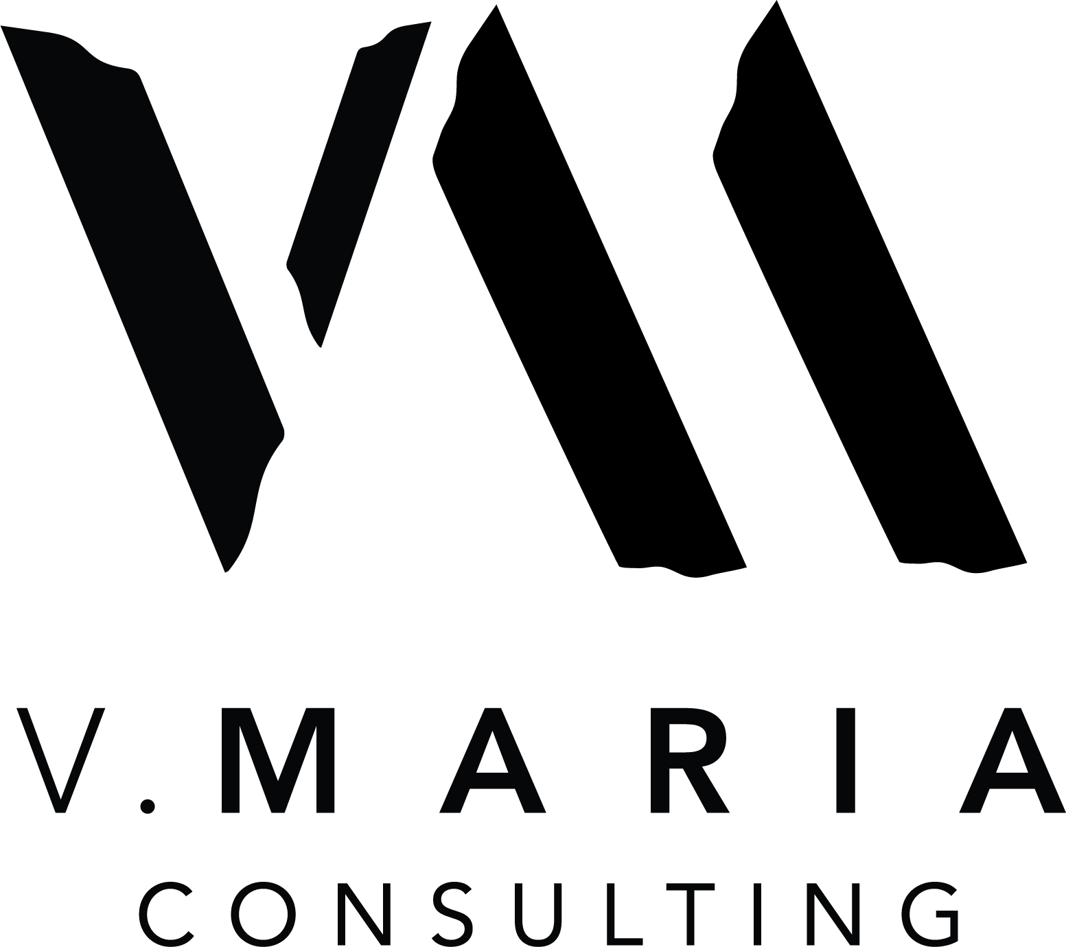 V. Maria Consulting