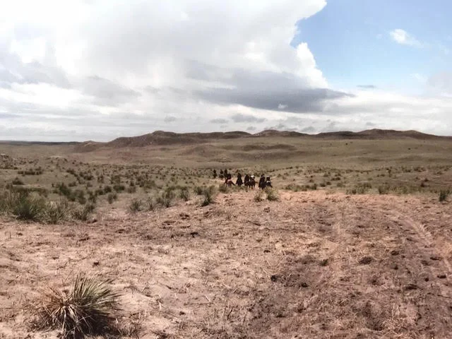 The branding crew heads into Celia's pasture to gather cows and calves