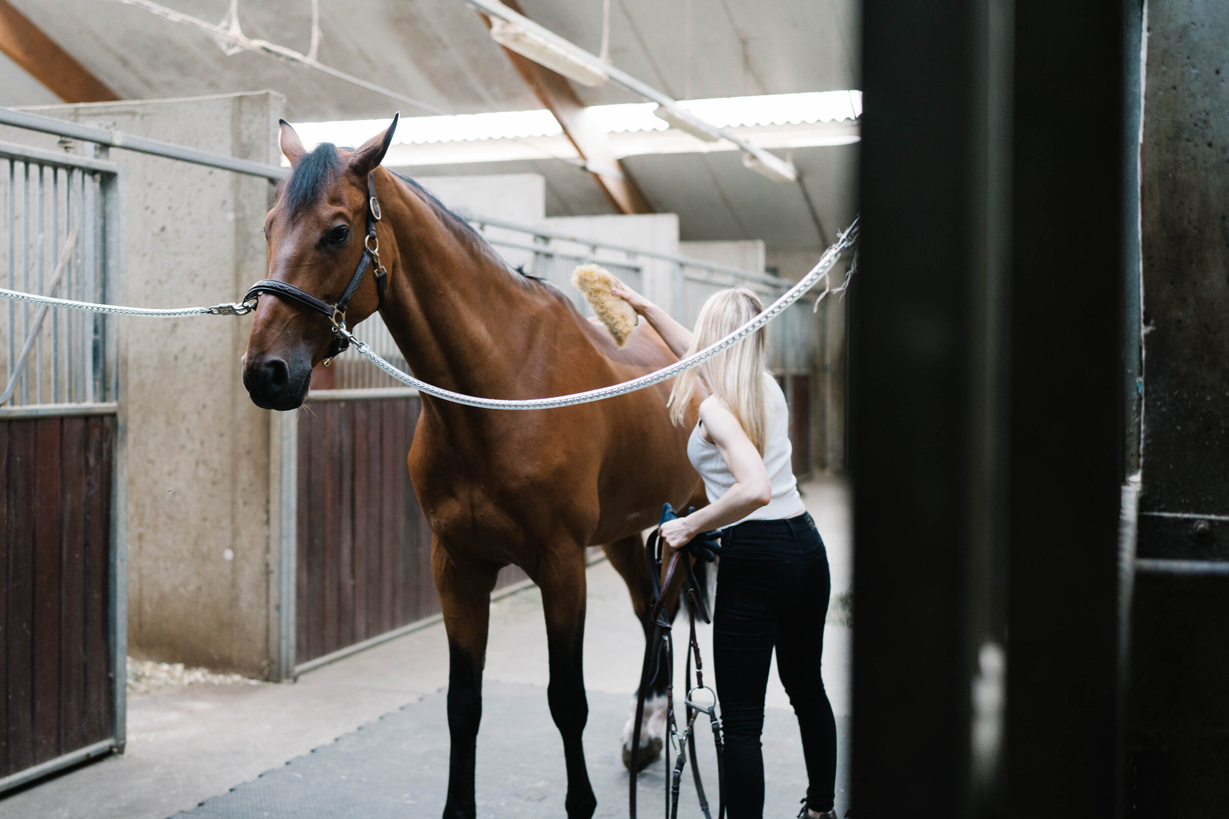 photographe-bruxelles-cheval-portrait-nature-1.jpg