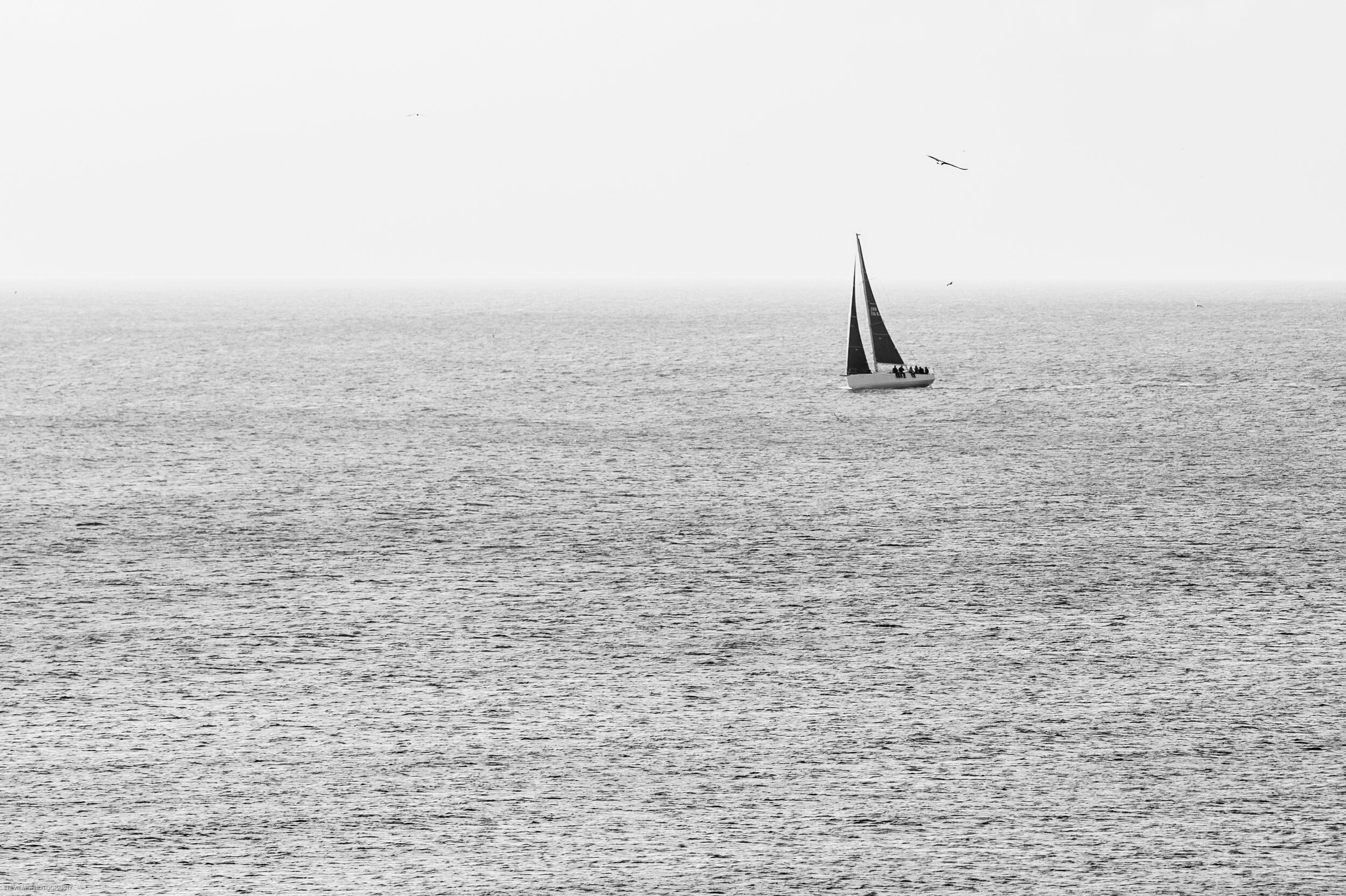 lonely at sea coming home