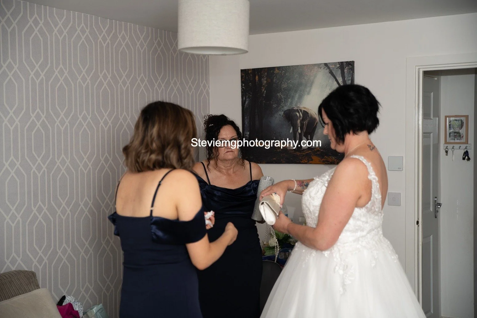 _D855537.jpg