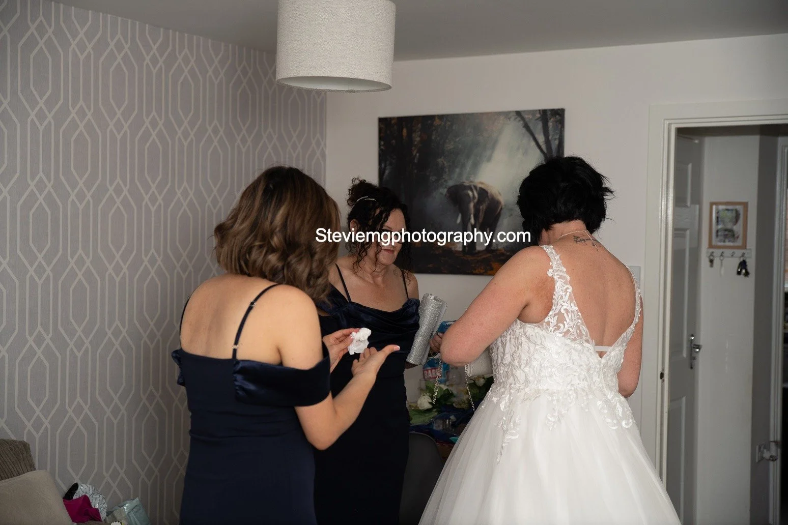 _D855538.jpg