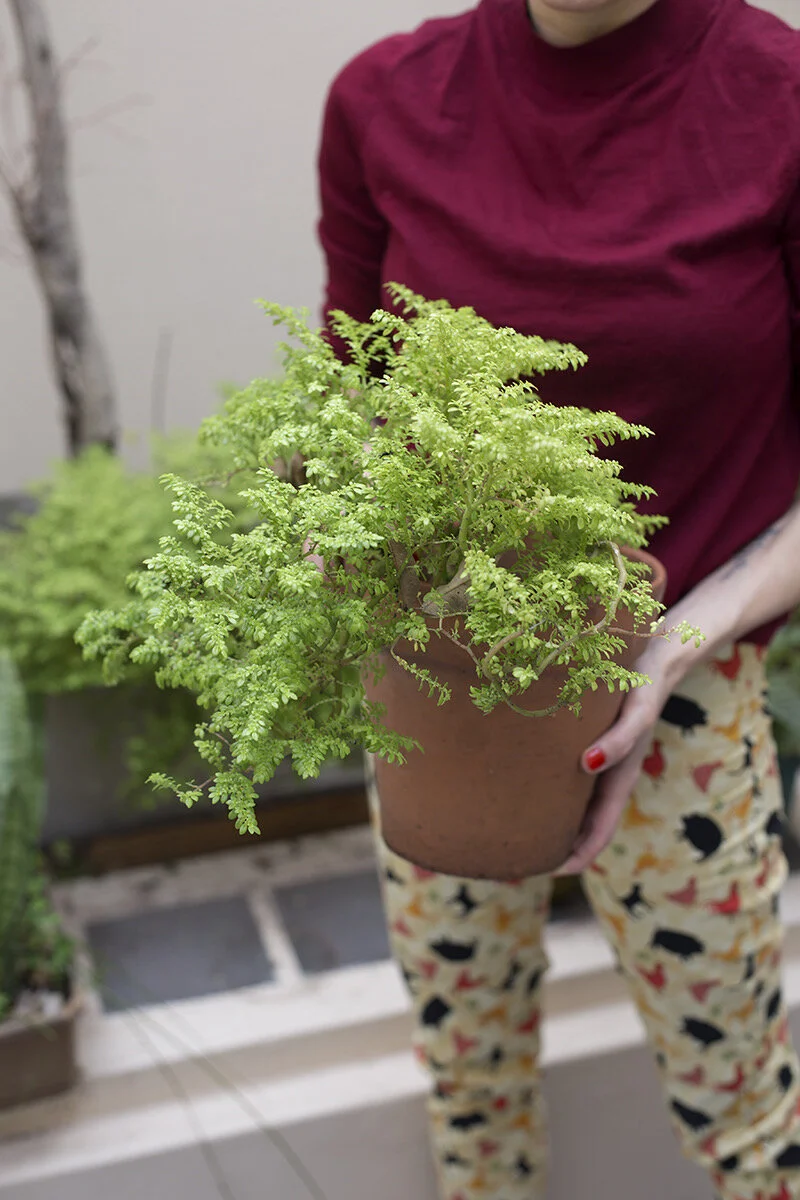 Ecodiseño y como iniciar tu marca sostenible IDEAS 