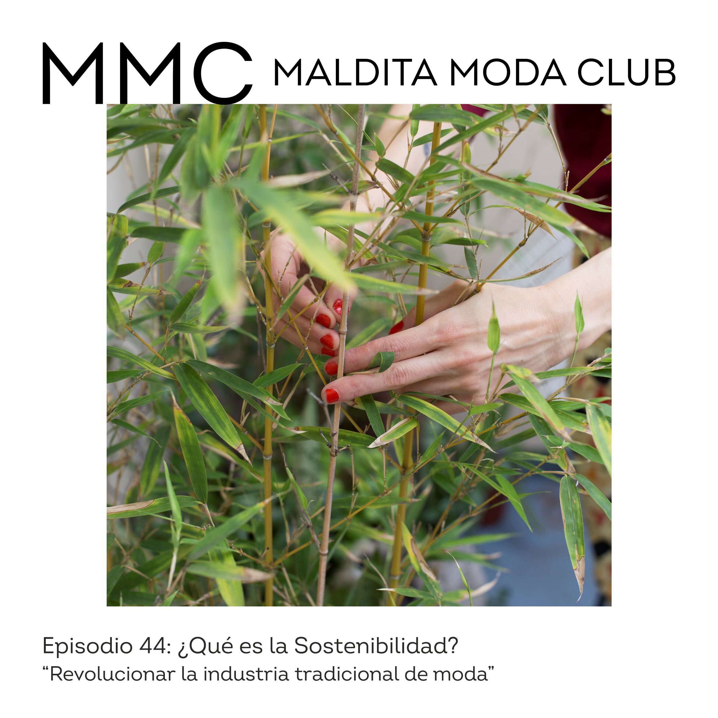 Episodio 44: ¿Qué es la sostenibilidad?