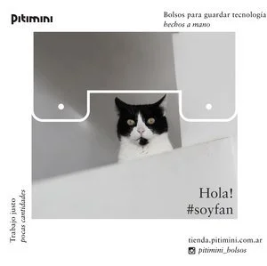 gato.jpg