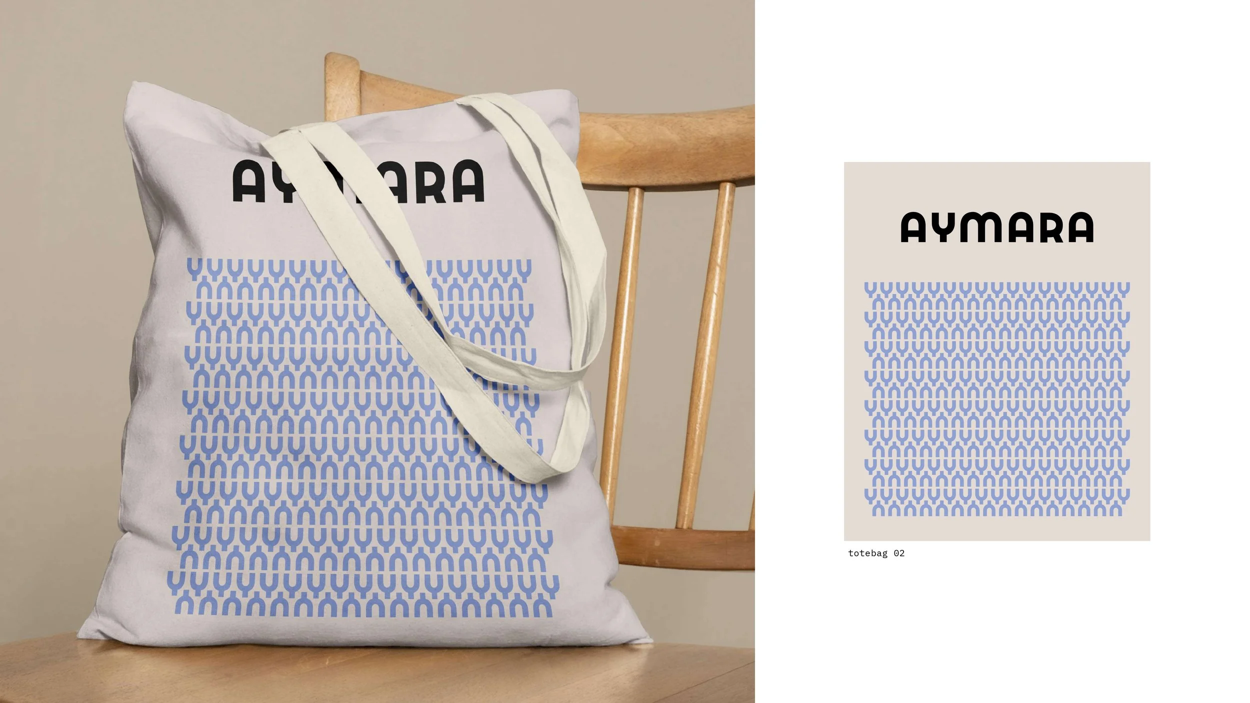 Material_AYMARA_2025_compressed_page-0009.jpg