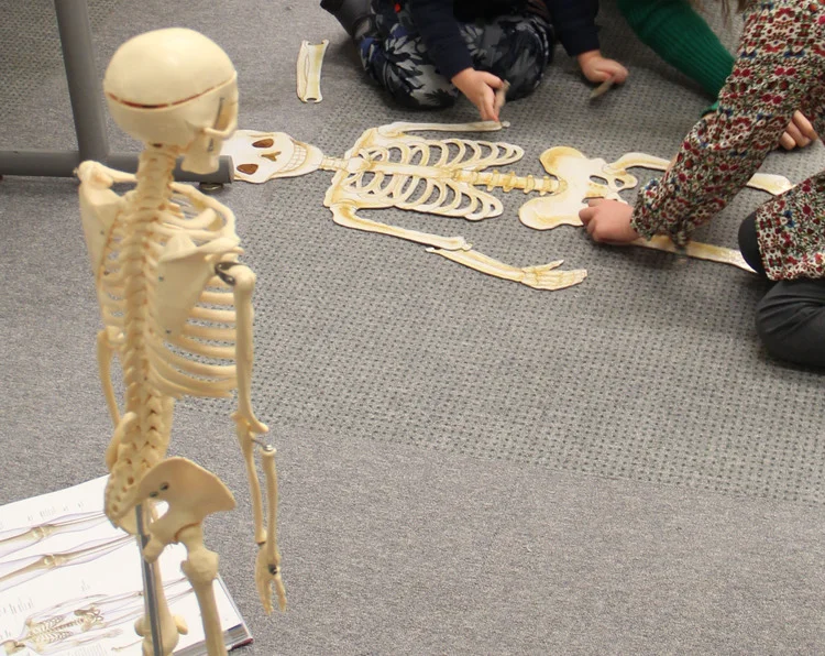 science+club+skeleton+and+puzzle.jpg