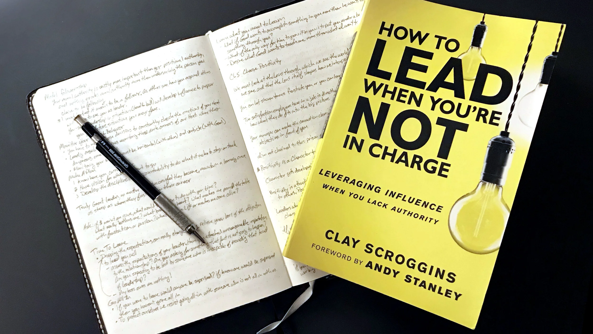 How to Lead When You're Not in Charge — Showing