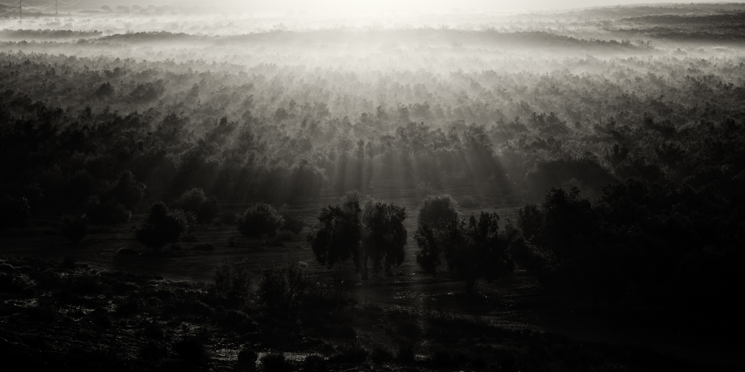 Sunrise over Andalucia, Spain