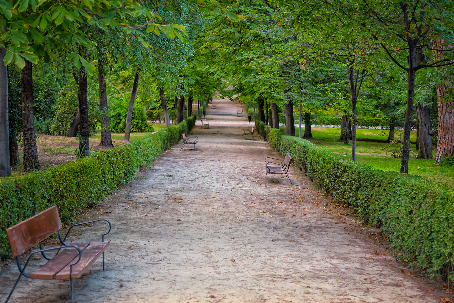 Parque de El Retiro - Madrid, Spain