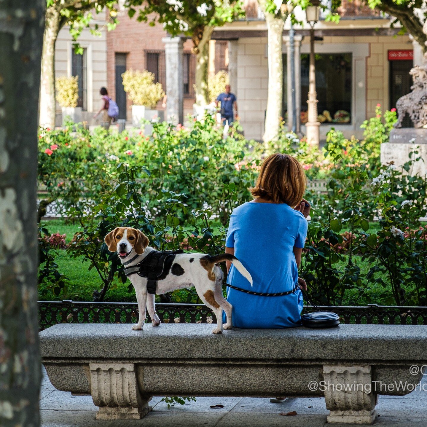 Went to Spanish class a little early, like most mornings, to walk around the beautiful city of Alcal&aacute; de Henares. These are my favorite 4 images of the day. 

#agmd #ShowingtheWorldJesus #showingtheworld #Photowalk #alcaladehenares #streetphot