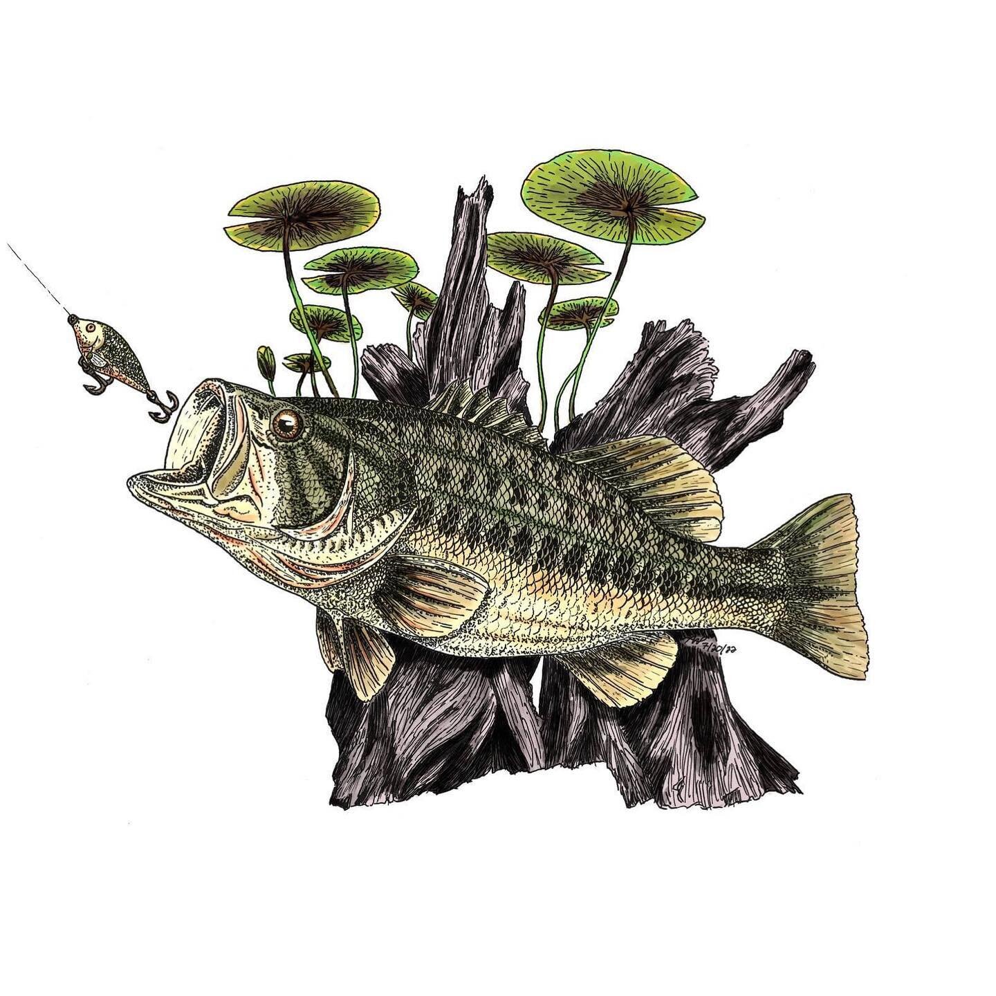 Finally got around to finishing this. I inked it with a Hunt Extra Fine Bowl Point nib and Speedball ink on an A4 piece of bristol paper. I used photoshop to paint it digitally. 

#largemouthbass #ShowingtheWorldJesus #artwithapurpose #agwmeurope #Sh