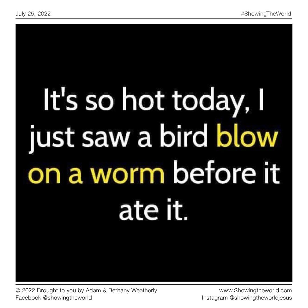 It's so hot today, I just saw a bird blow on a worm before it ate it. 

#agmd #ShowingTheWorld #ShowingtheWorldJesus #Missionarylife #SoAllCanHear #SpeedTheLight #SavedbyGrace #SeekGod #JesusIsKing #Missionary #PrayerWorks #Church #Bible #JesusIsLord