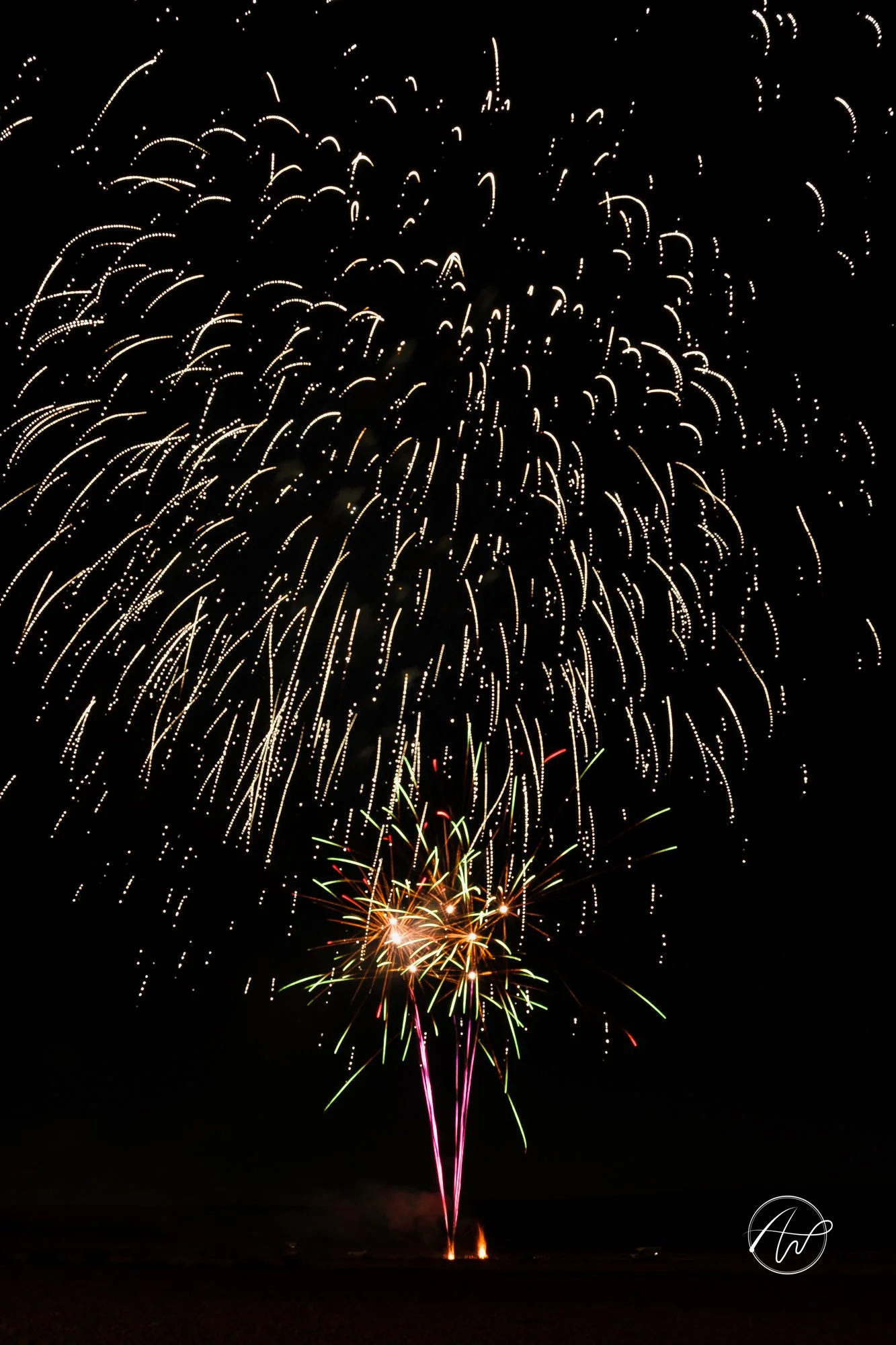 _DSF6353.jpg
