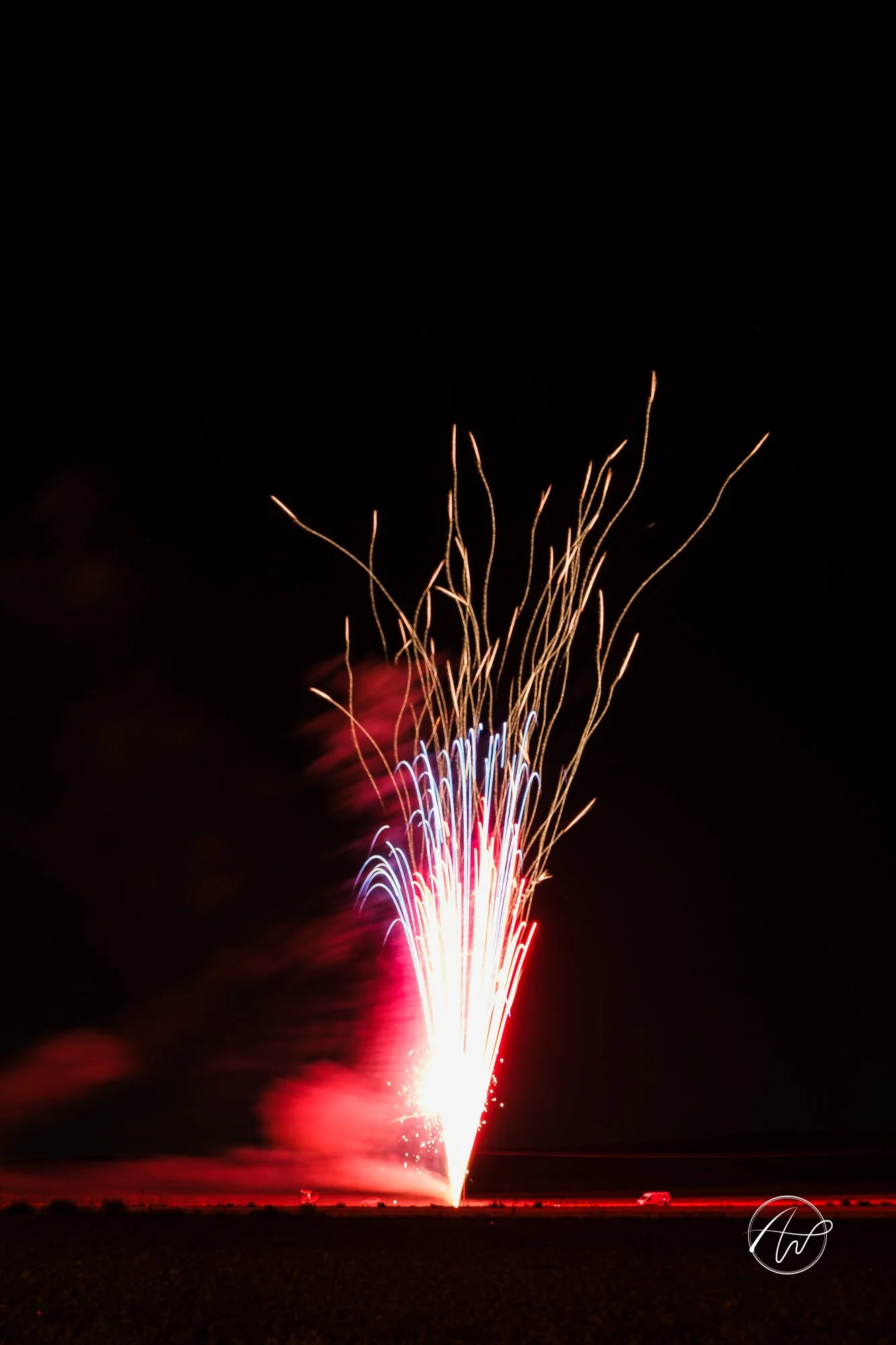 _DSF6438.jpg