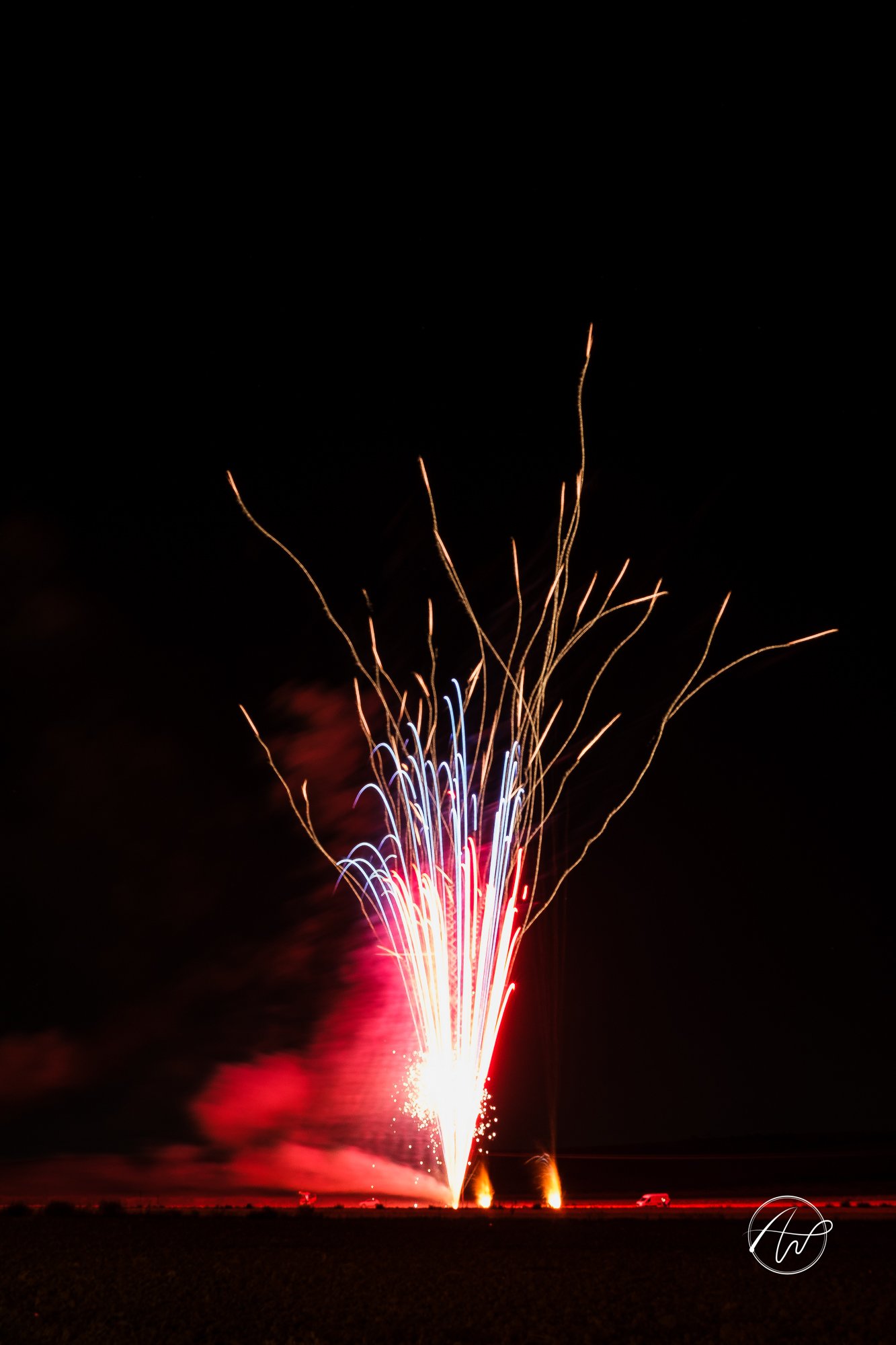 _DSF6439.jpg