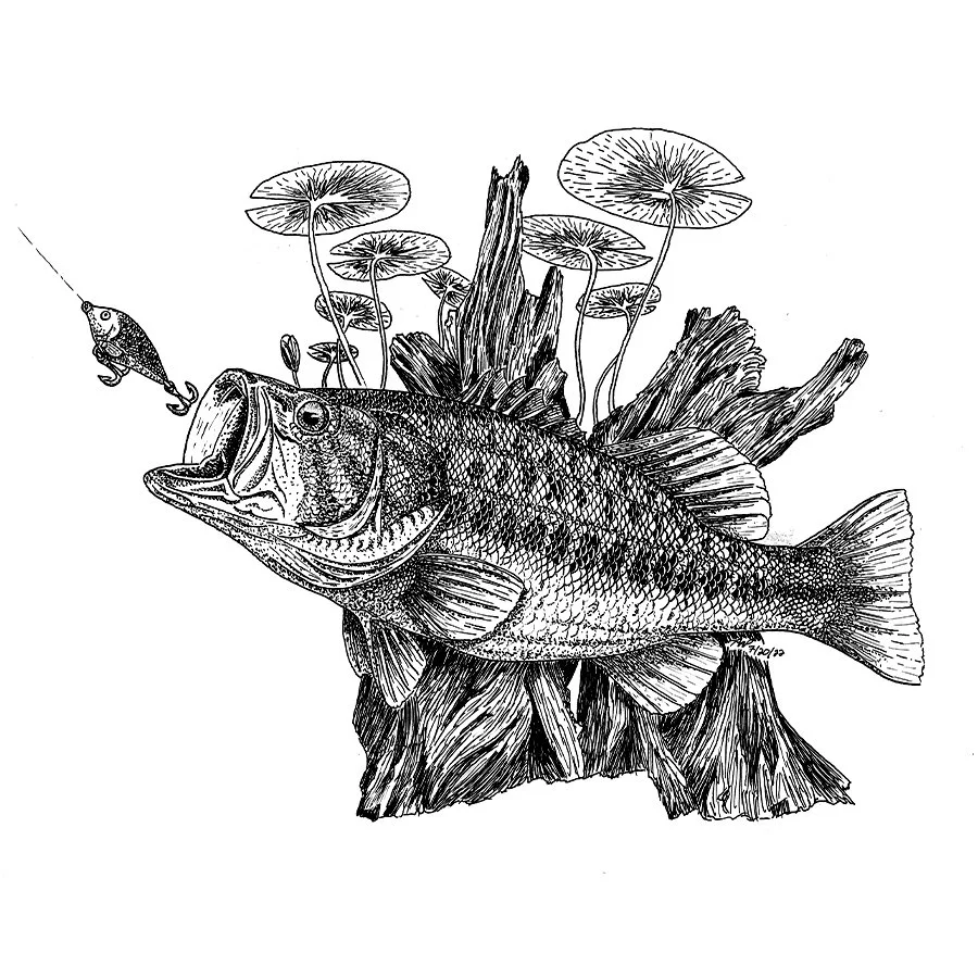 An intricate pen-and-ink drawing depicting a largemouth bass striking a crankbait lure near submerged timber and lily pads. The detailed linework and high-contrast monochrome style capture the energy of freshwater fishing. Perfect for lake house, cab