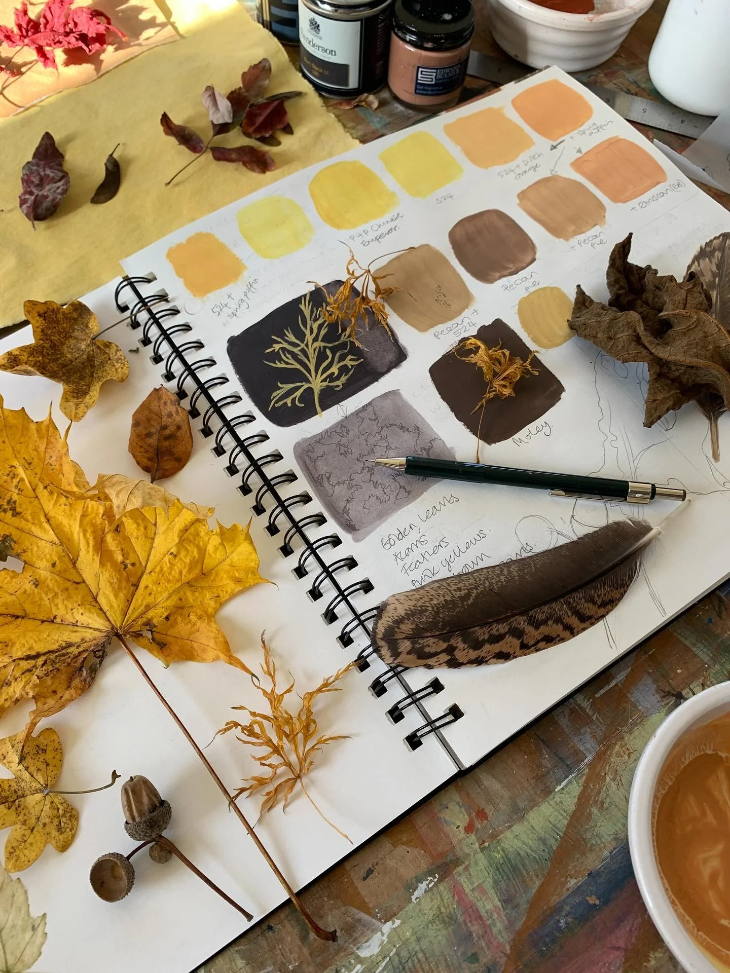 A cosy day in my studio, with the moody weather doing its thing outside whilst I draw, paint and lovingly record the joyful Autumnal colours of the leaves collected from my garden.  My hens are not impressed with the wind and rain today so have pecke