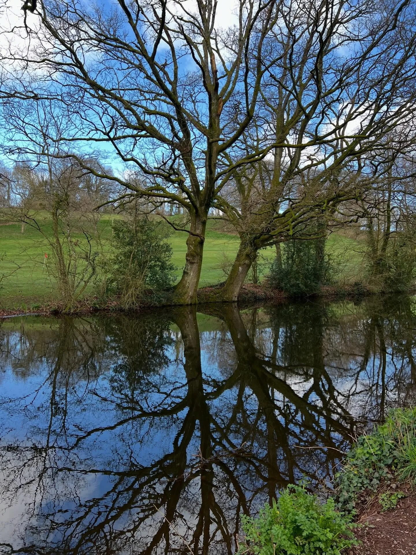Light and reflections on a beautiful sunny Spring day in Devon.  A lovely family walk along the canal this morning!  Happy weekend everyone! X 
.
.
.
#spring #sunshine #devonlife #grateful #inspiration